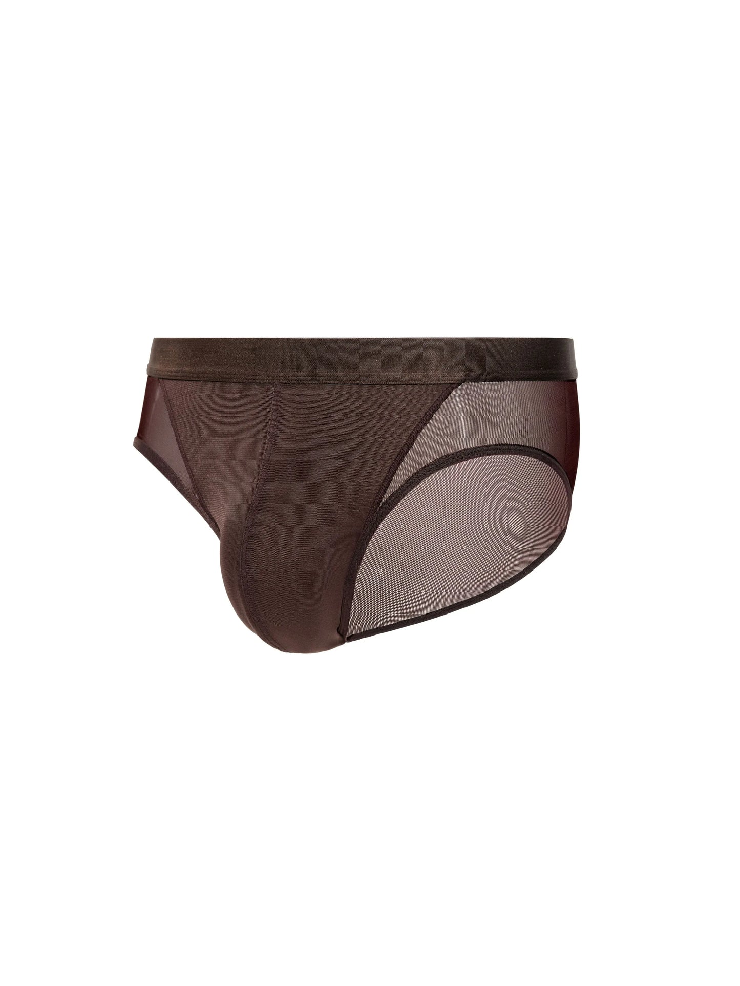 Mesh Panel Long Sleeve Top & Brown Mesh Brief