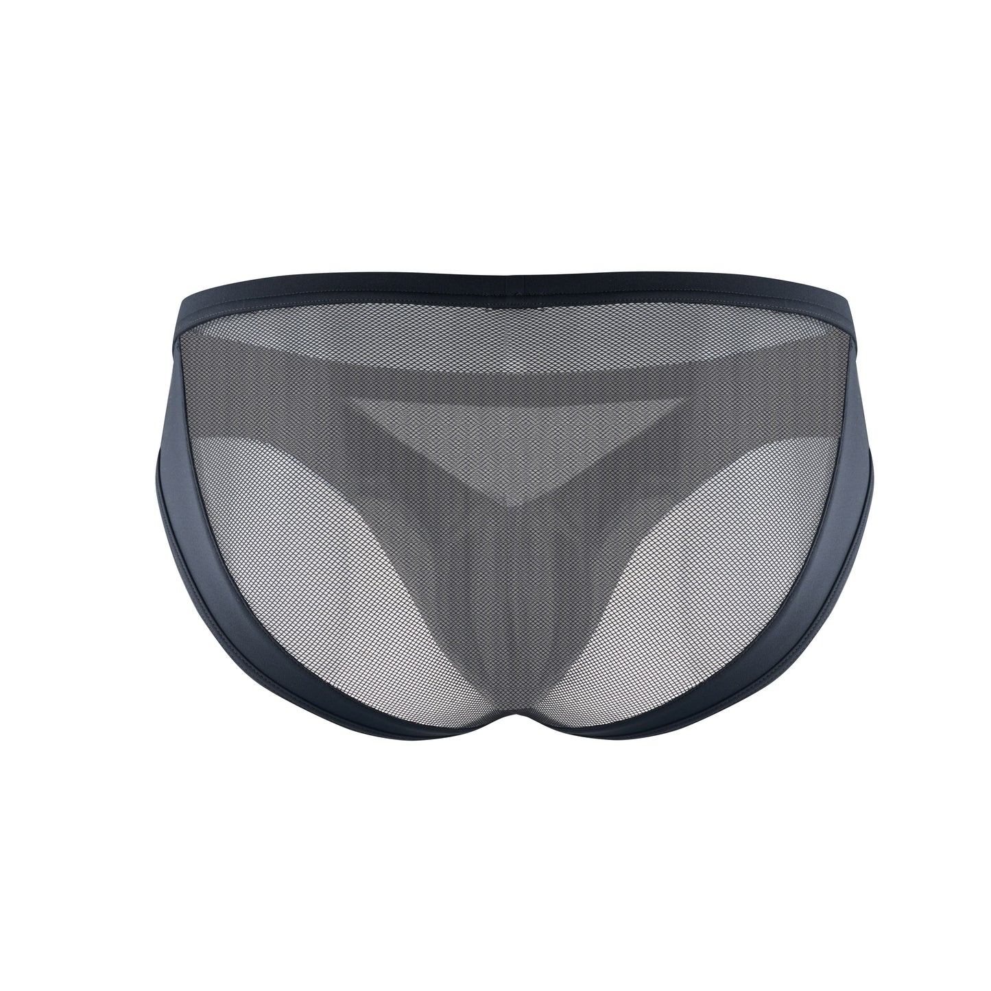 Mesh Paneled Low Rise Brief & Cross Front Thong Belt