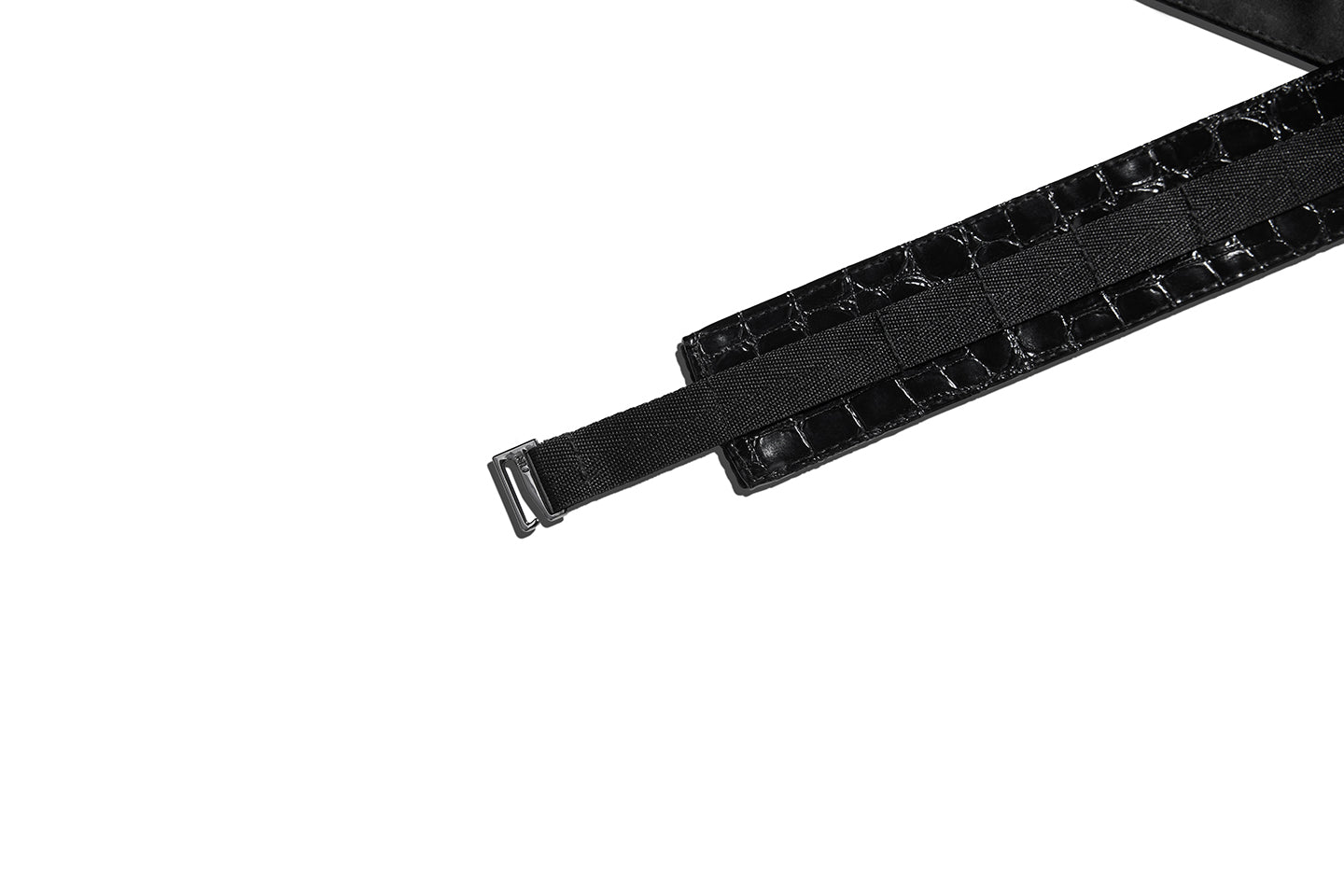 FB Trunk & Croc Band