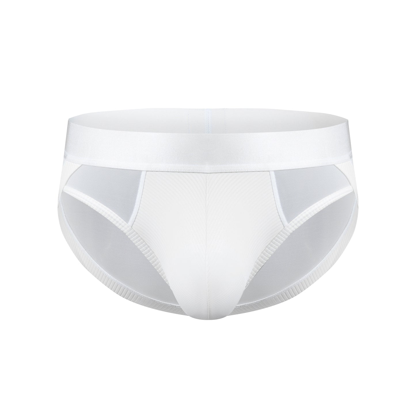 Sparkling Ribbed Mesh Panel Brief White Black