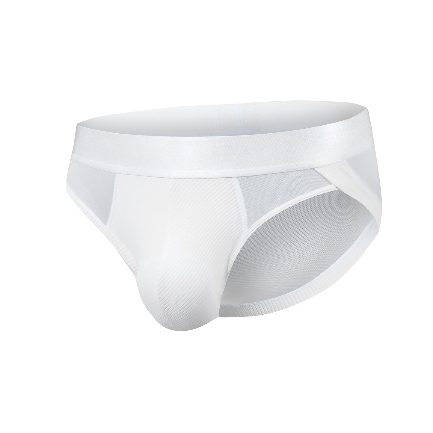 Sparkling Ribbed Mesh Panel Brief White Black