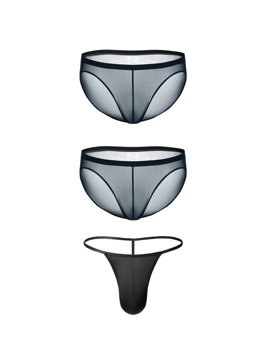 Lustrous Mesh Single-Layer Pouch Briefs*2