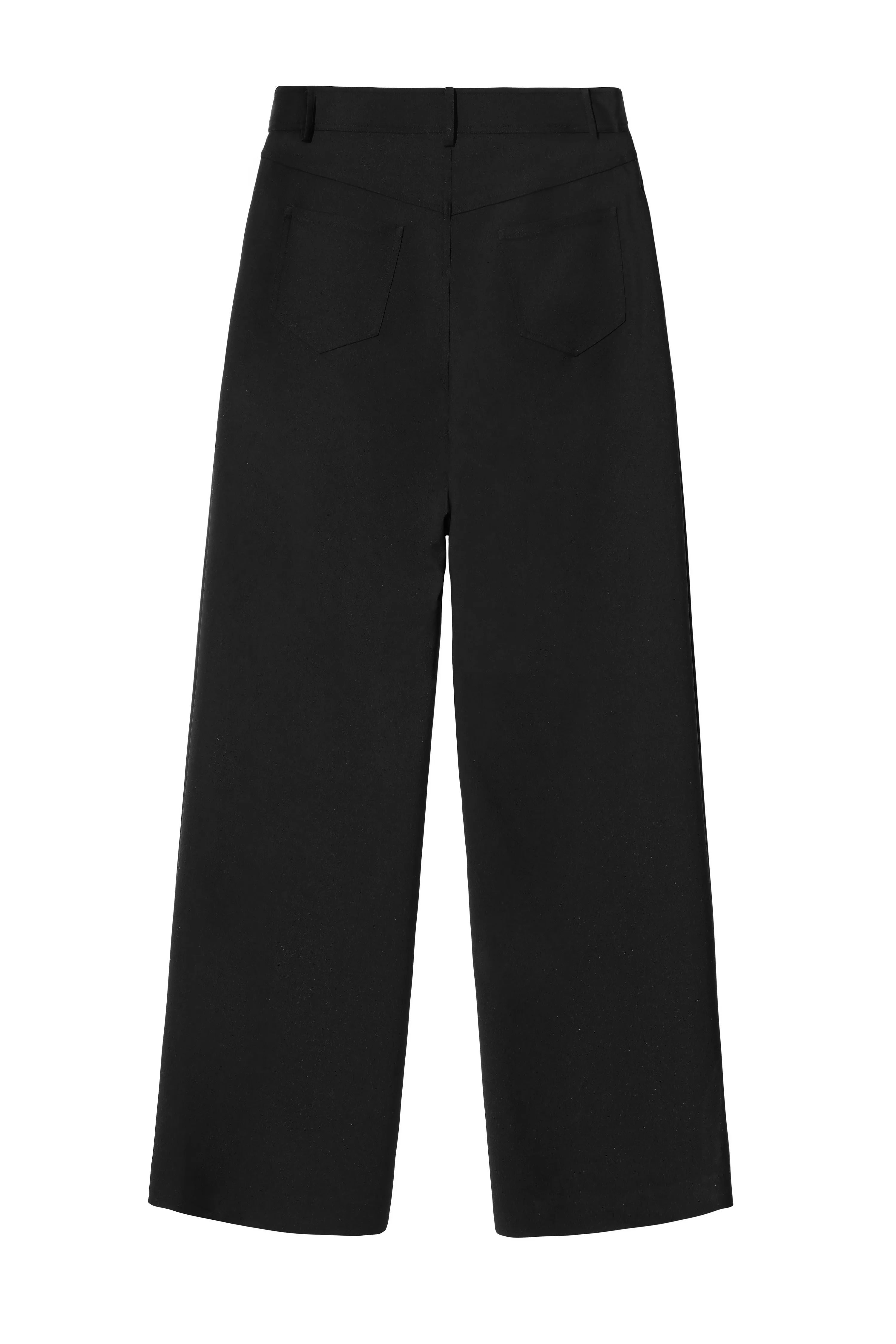 Pleated Mesh Pants