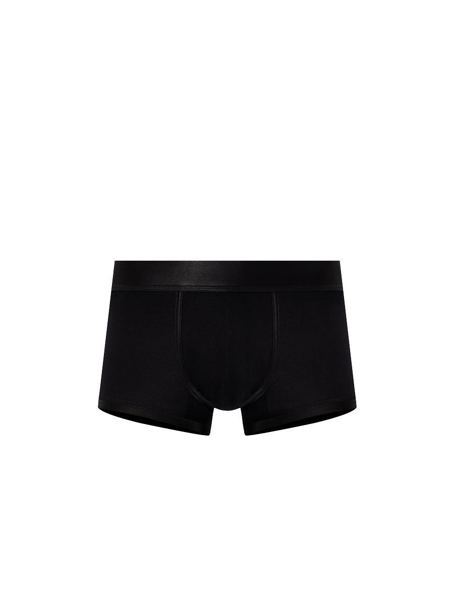 Buckle Trunk