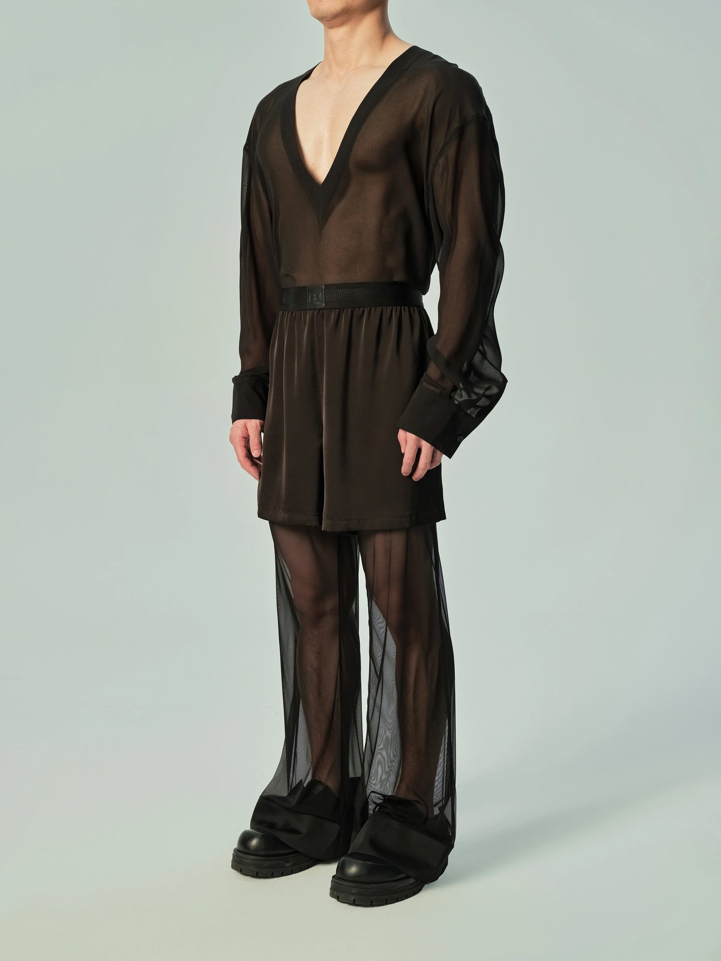 Deep V Neck Sheer Mesh Top