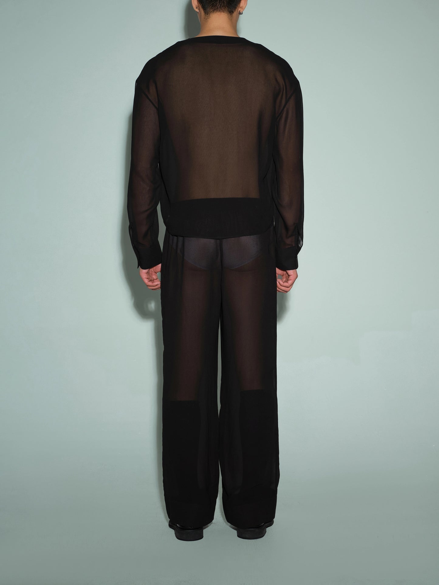 Deep V Neck Sheer Mesh Top