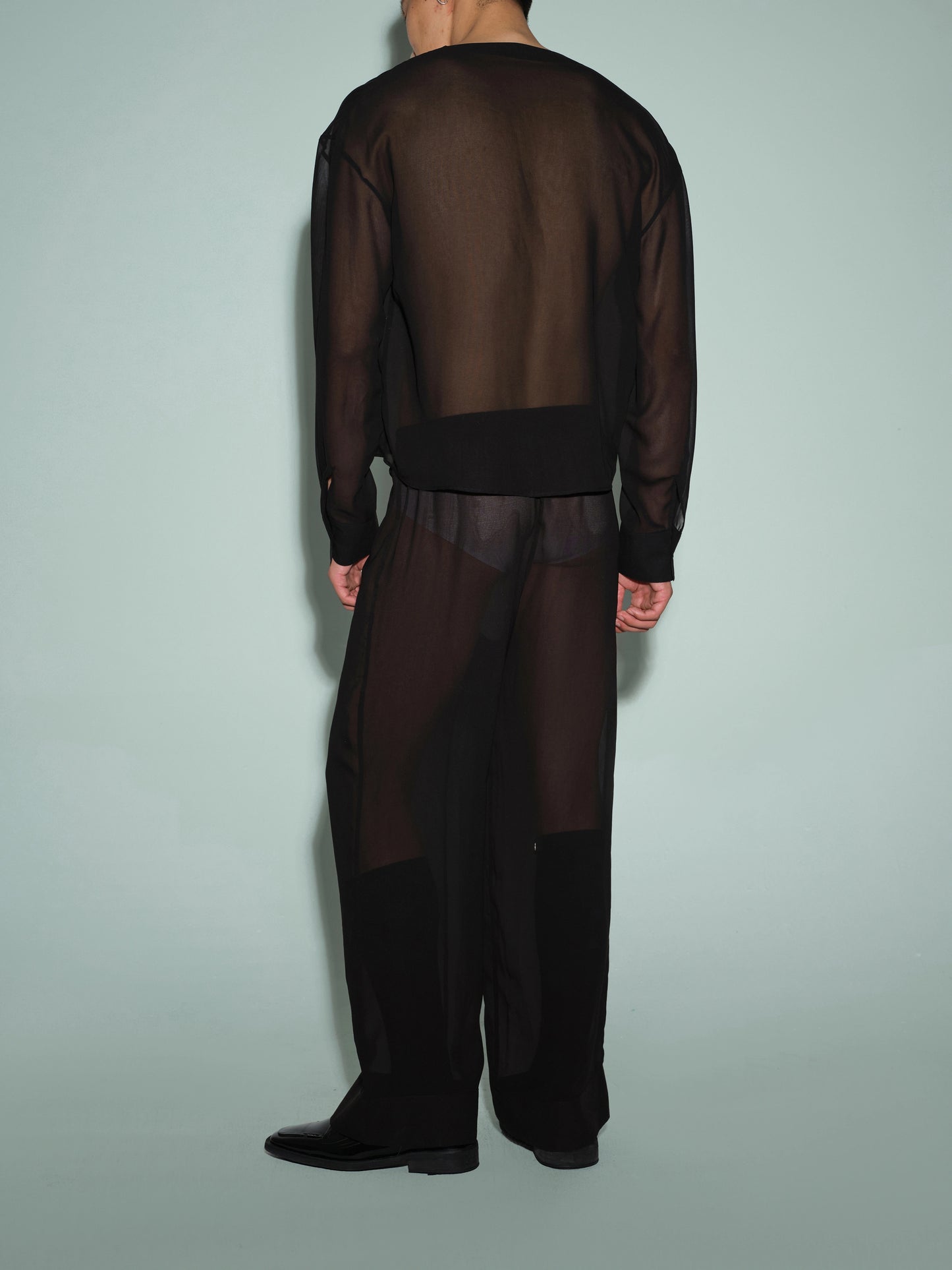 Deep V Neck Sheer Mesh Top