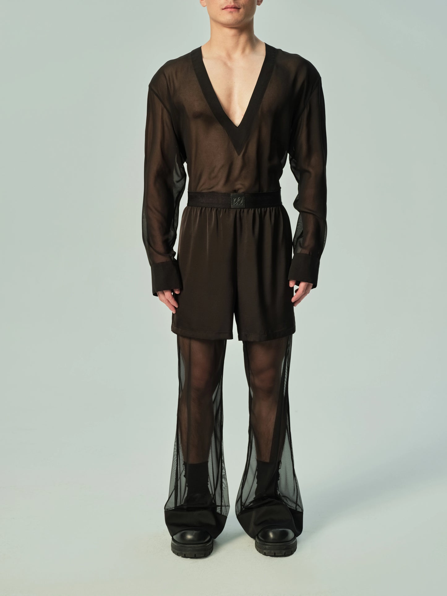 Deep V Neck Sheer Mesh Top
