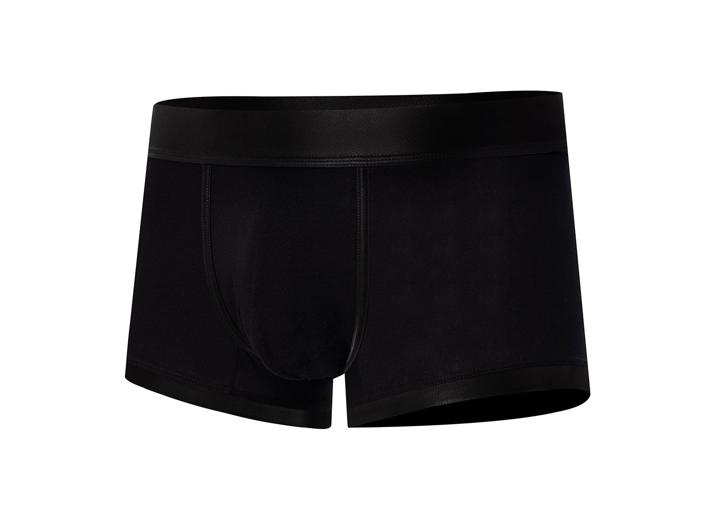 Buckle Trunk