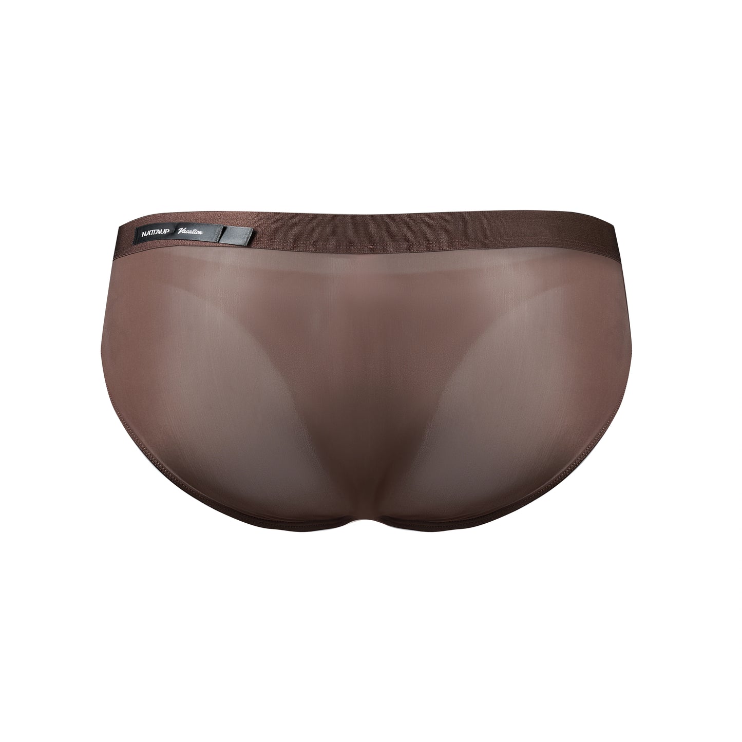 Classic Icy Silk High-Cut Brief (Moist Earth Brown*2)
