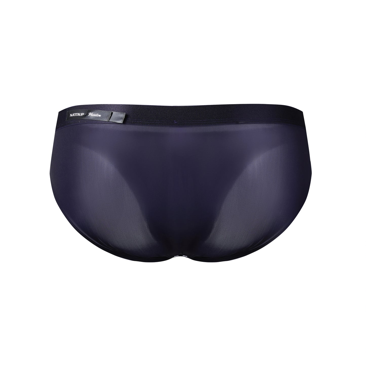 Classic Icy Silk High-Cut Brief (Night Purple*2)
