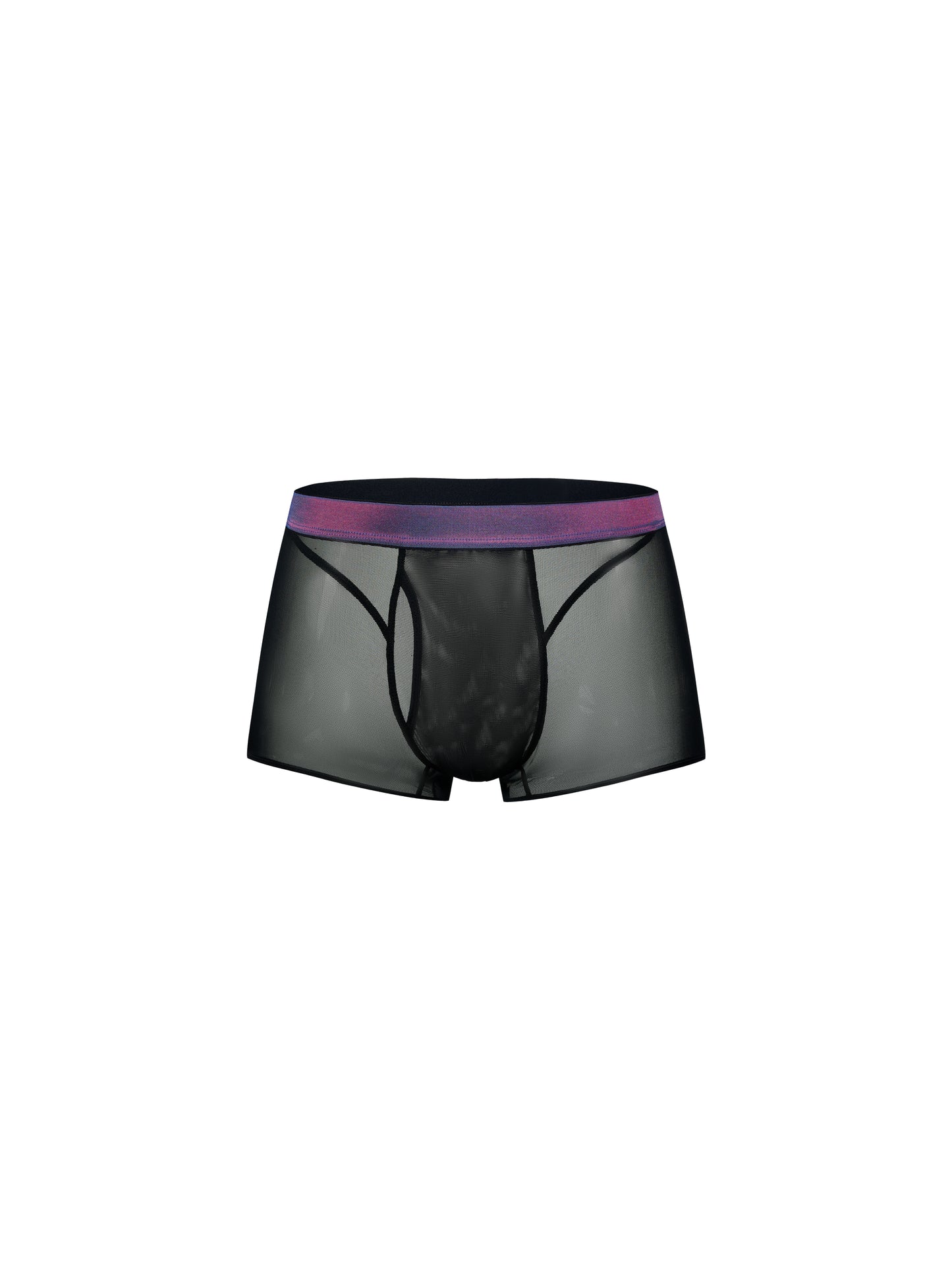 Iridescent-Band Sheer Mesh Trunk