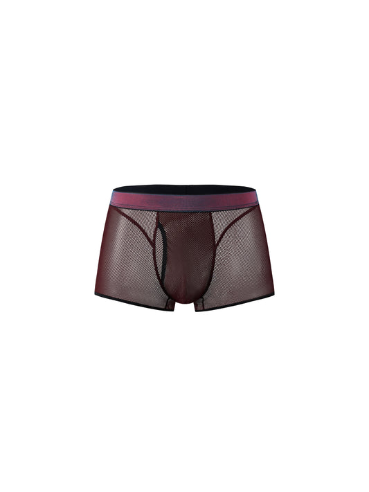 Iridescent-Band Sheer Open-Mesh Trunk