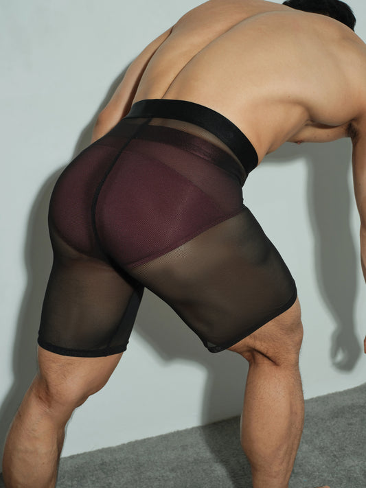 Lightweight Brief & Glossy Sparkle Fitted Shorts & Mesh Shorts