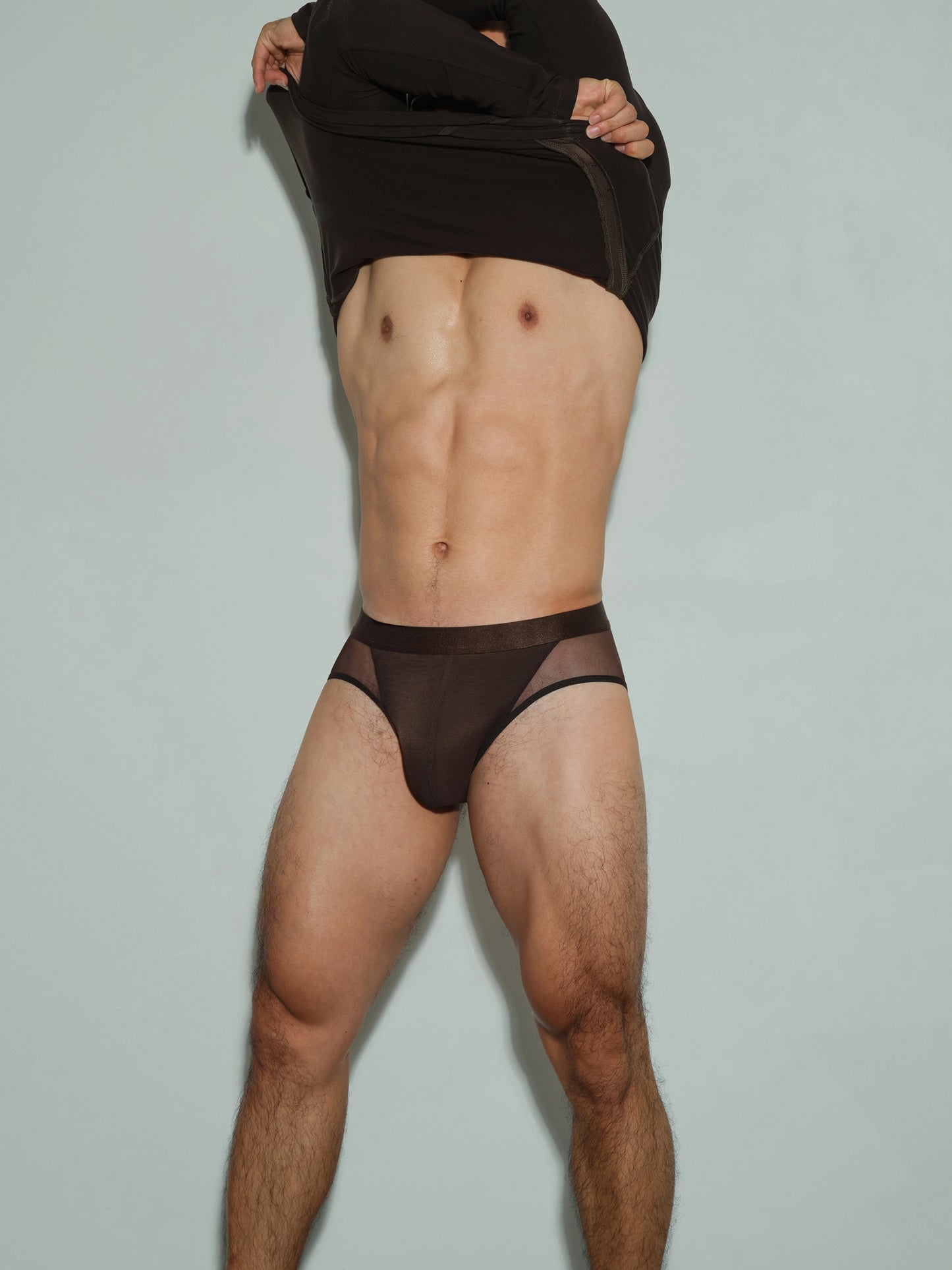 Mesh Panel Long Sleeve Top & Brown Mesh Brief