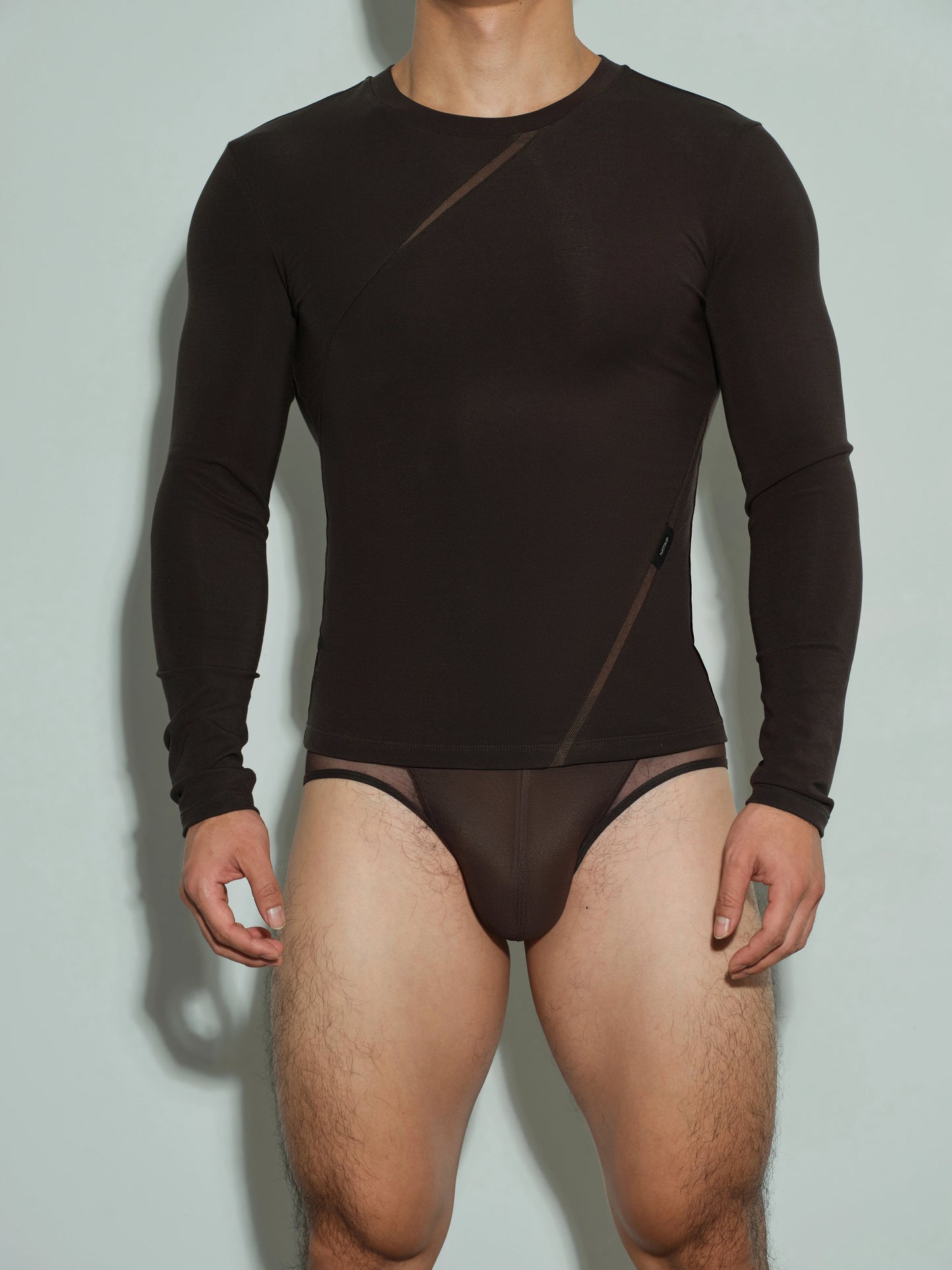Mesh Panel Long Sleeve Top & Brown Mesh Brief