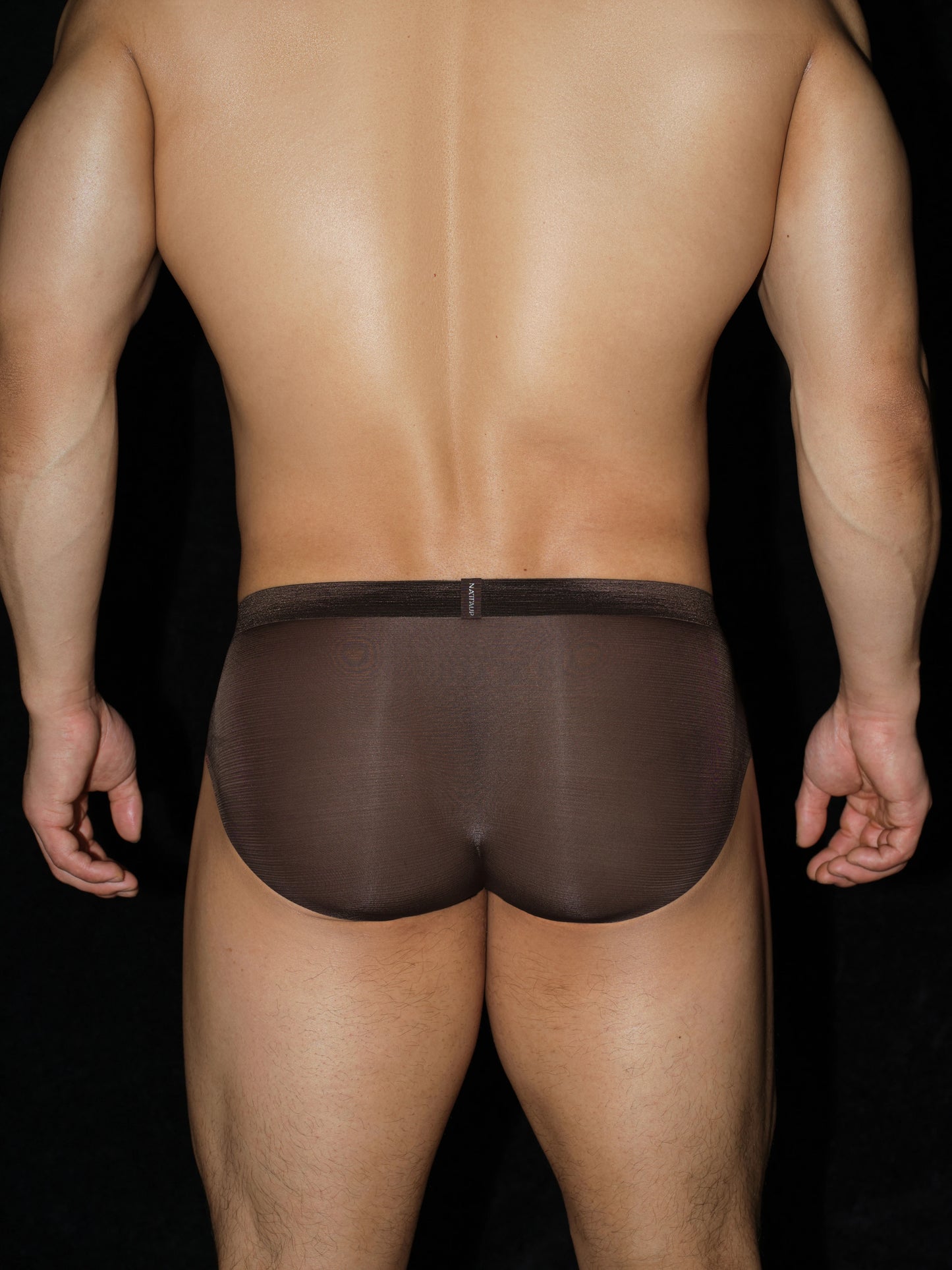 Satin-Striped Icy Silk Brief (Darkroom Brown*2)
