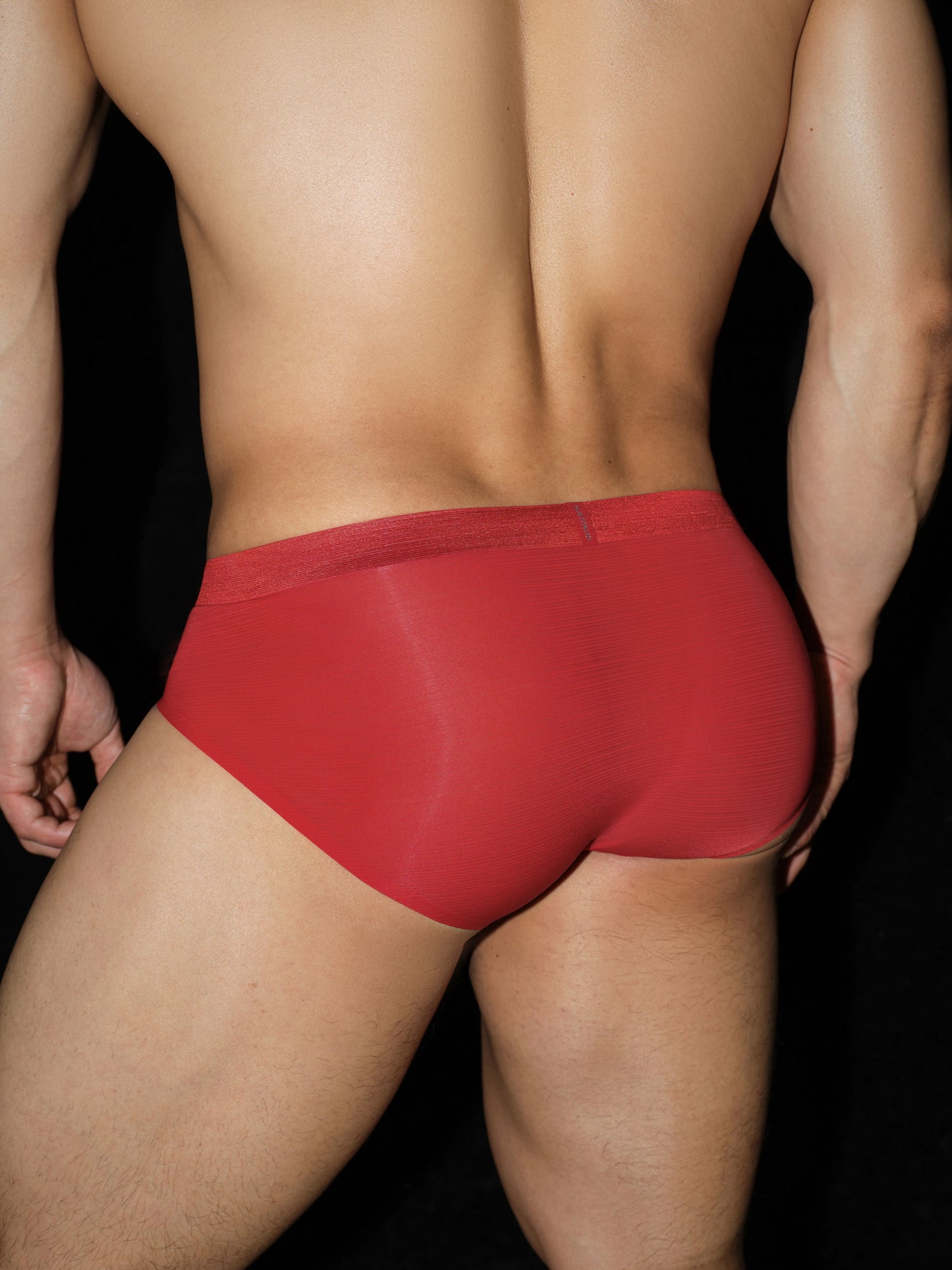 Satin-Striped Icy Silk Brief (Atelier Red*2)