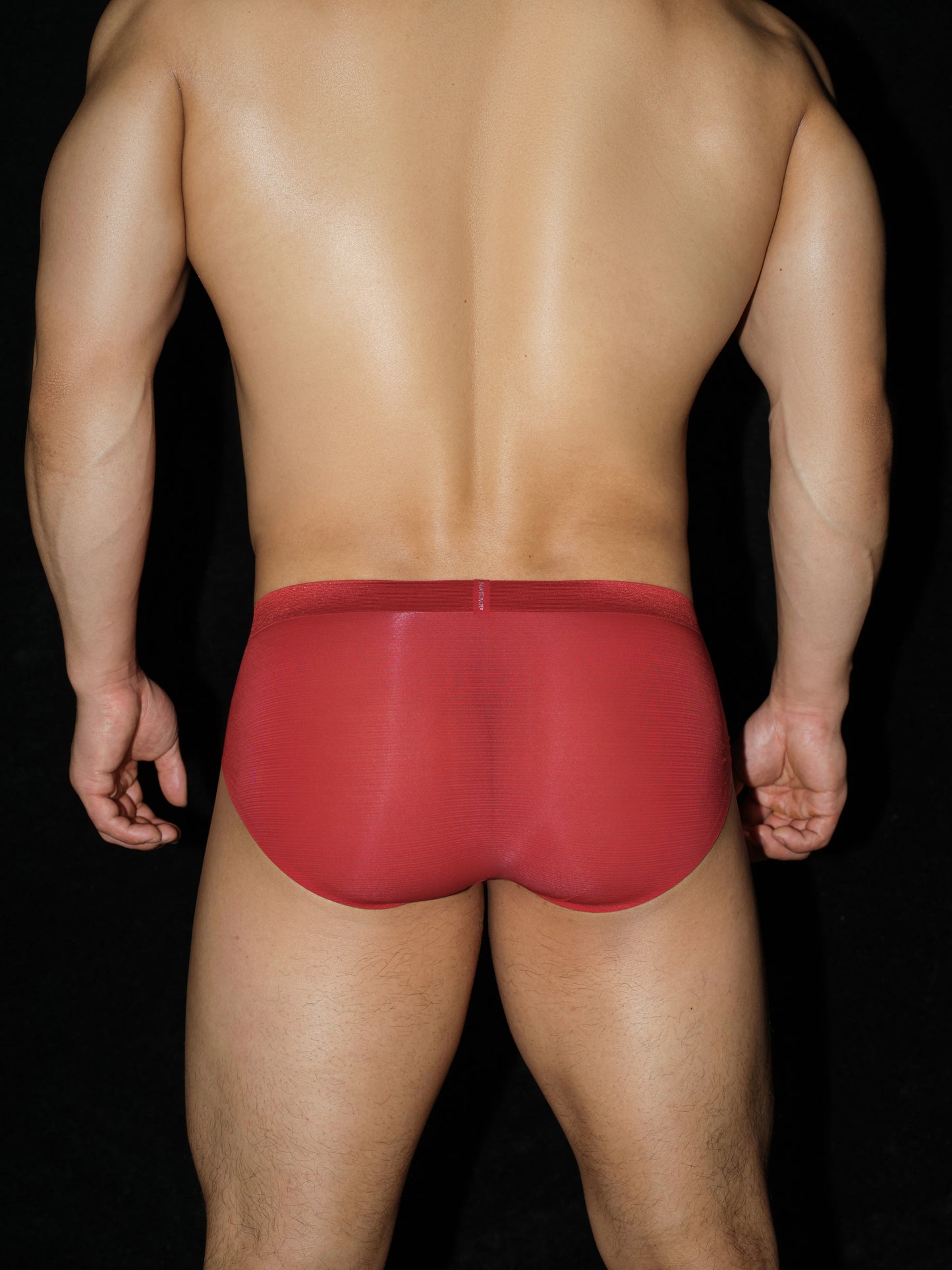 Satin-Striped Icy Silk Brief (Atelier Red*2)
