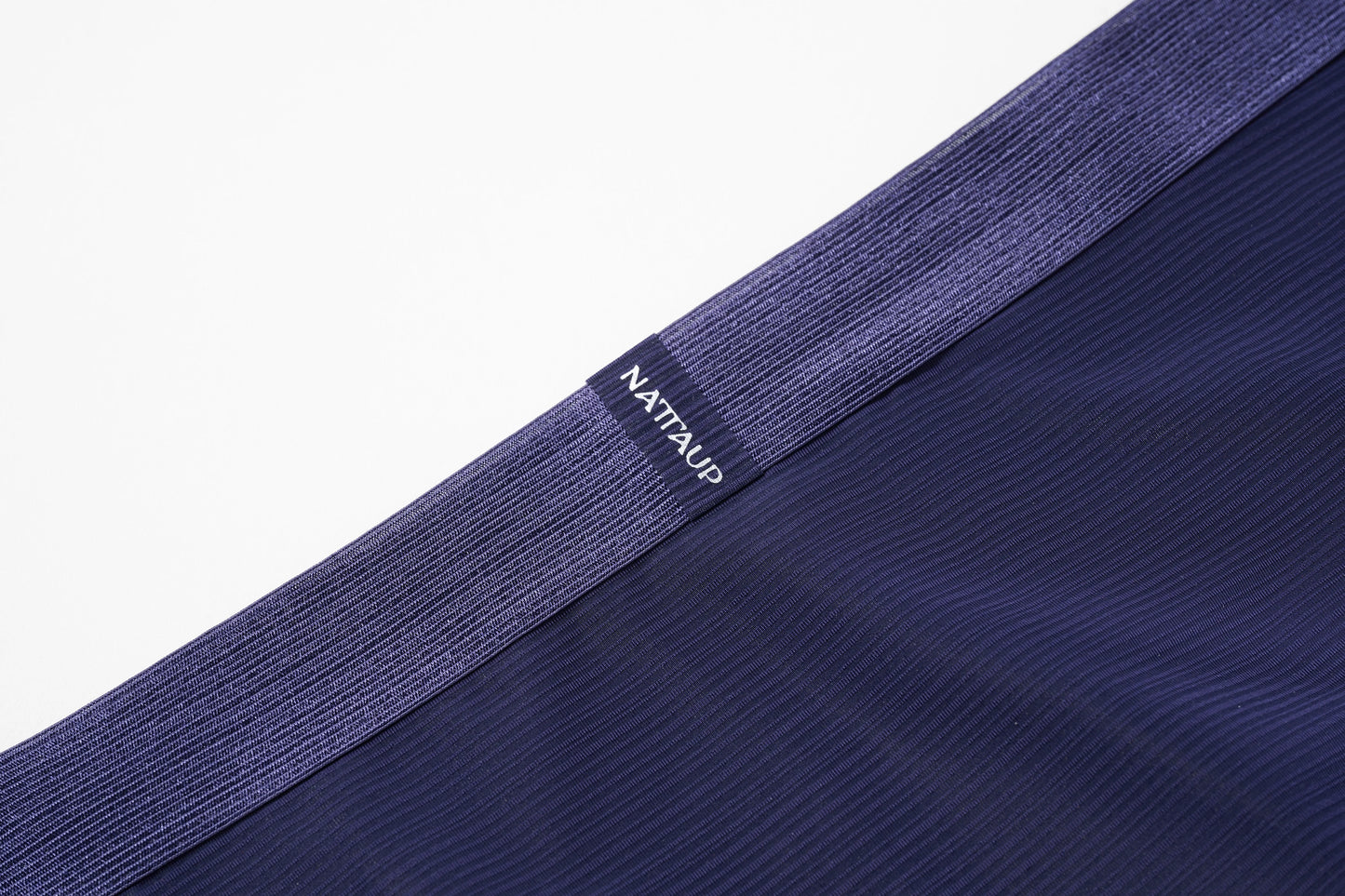 Satin-Striped Icy Silk Brief (Curtain Night Purple*2)