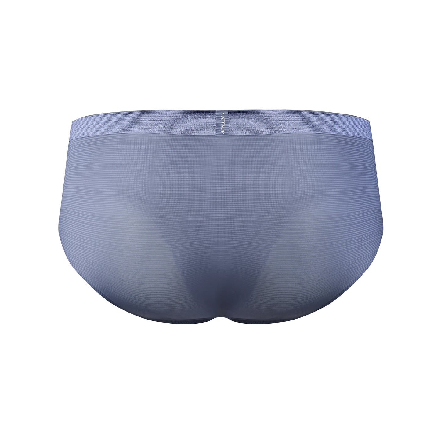 Satin-Striped Icy Silk Brief (Mercury Mist*2)