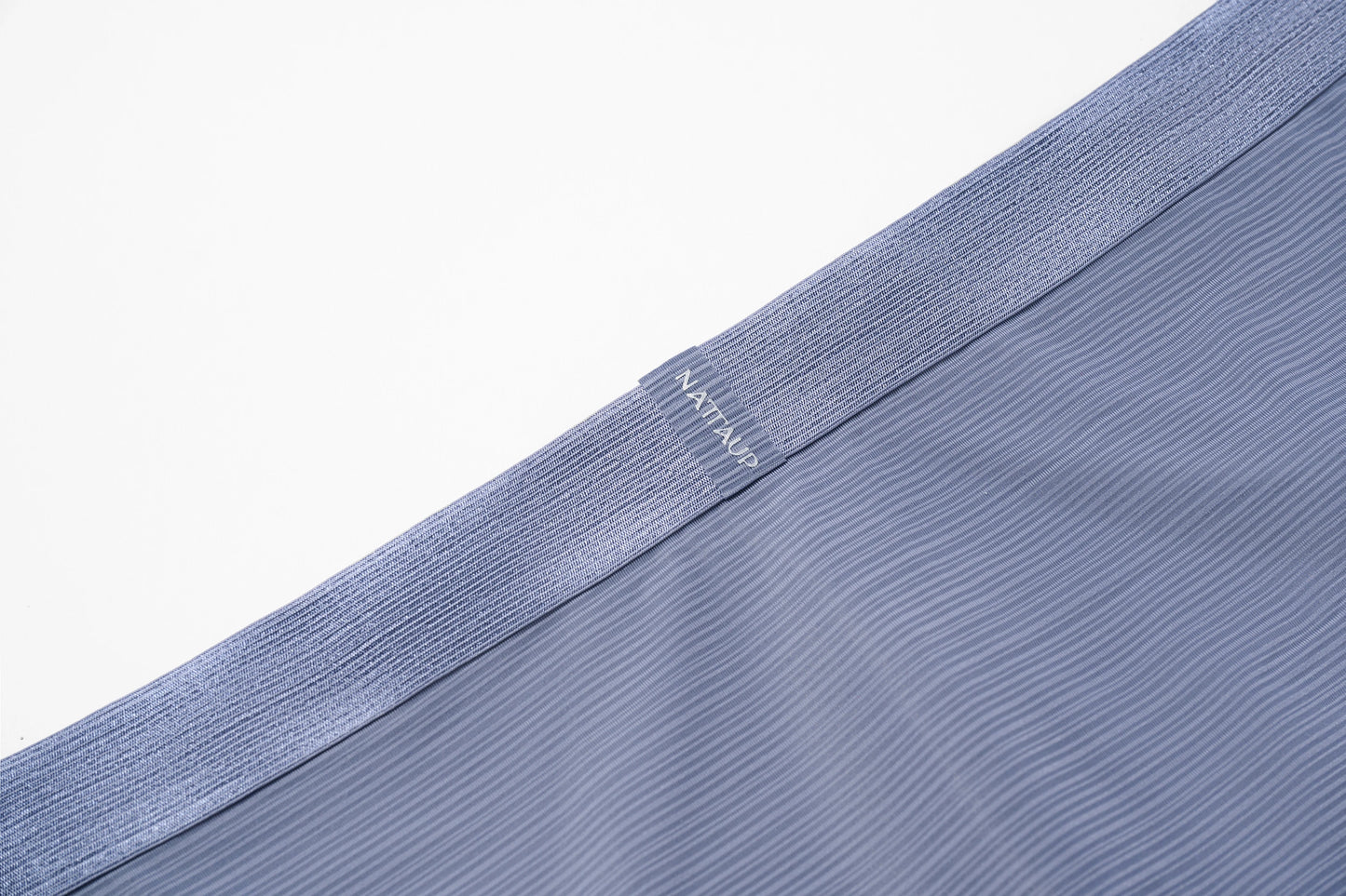 Satin-Striped Icy Silk Brief (Mercury Mist*2)
