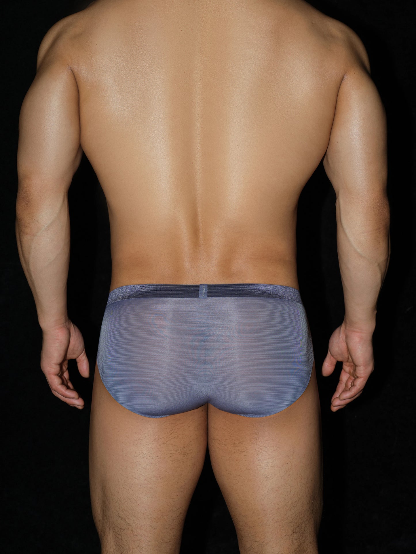 Satin-Striped Icy Silk Brief (Mercury Mist*2)