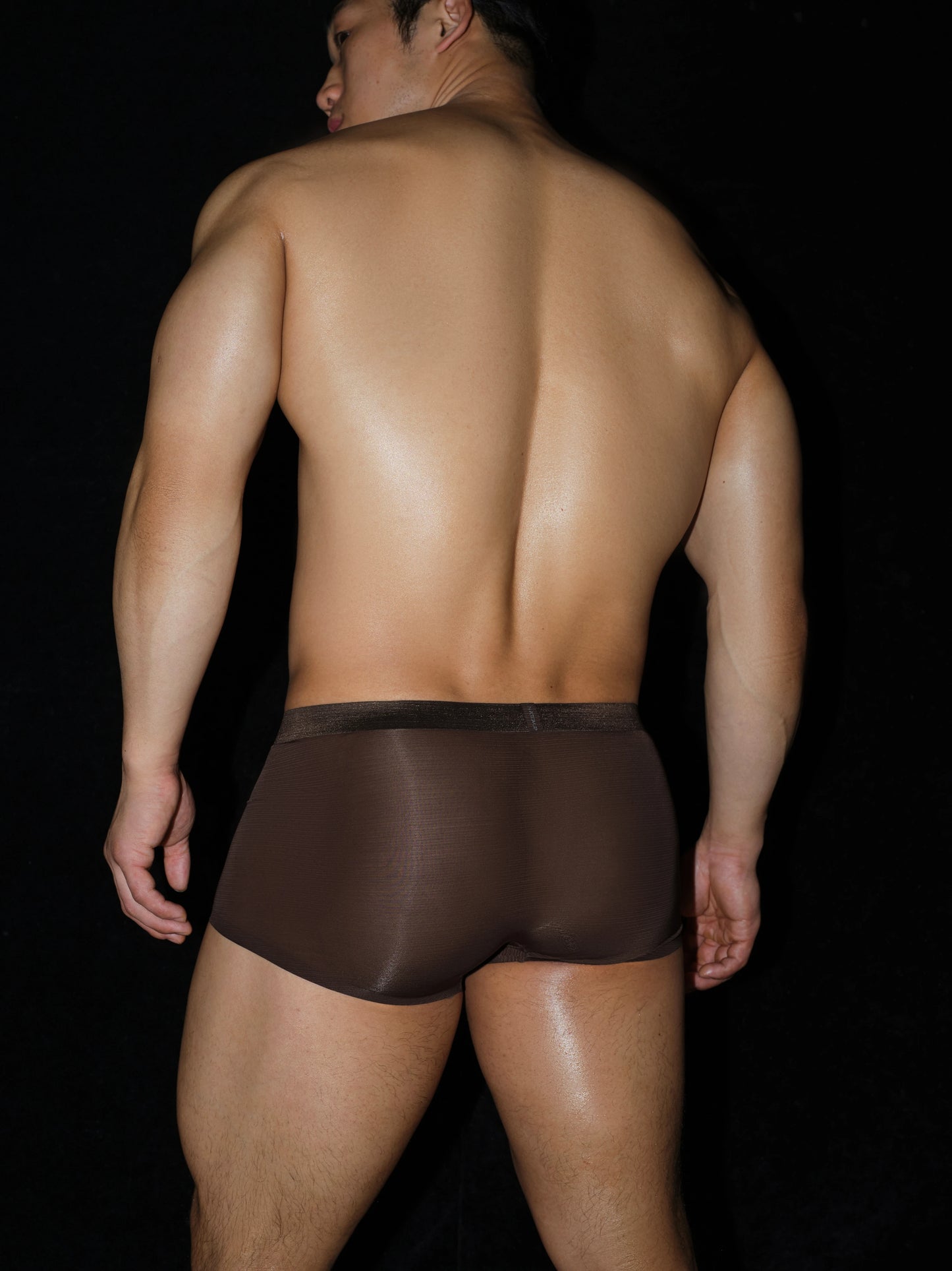 Satin-Striped Icy Silk Trunk (Darkroom Brown*2)