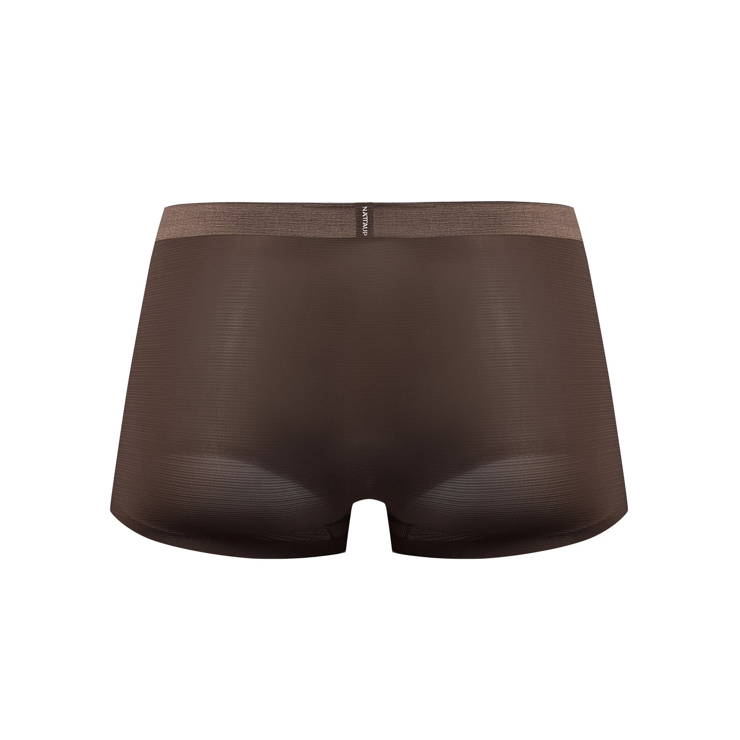 Satin-Striped Icy Silk Trunk (Darkroom Brown*2)