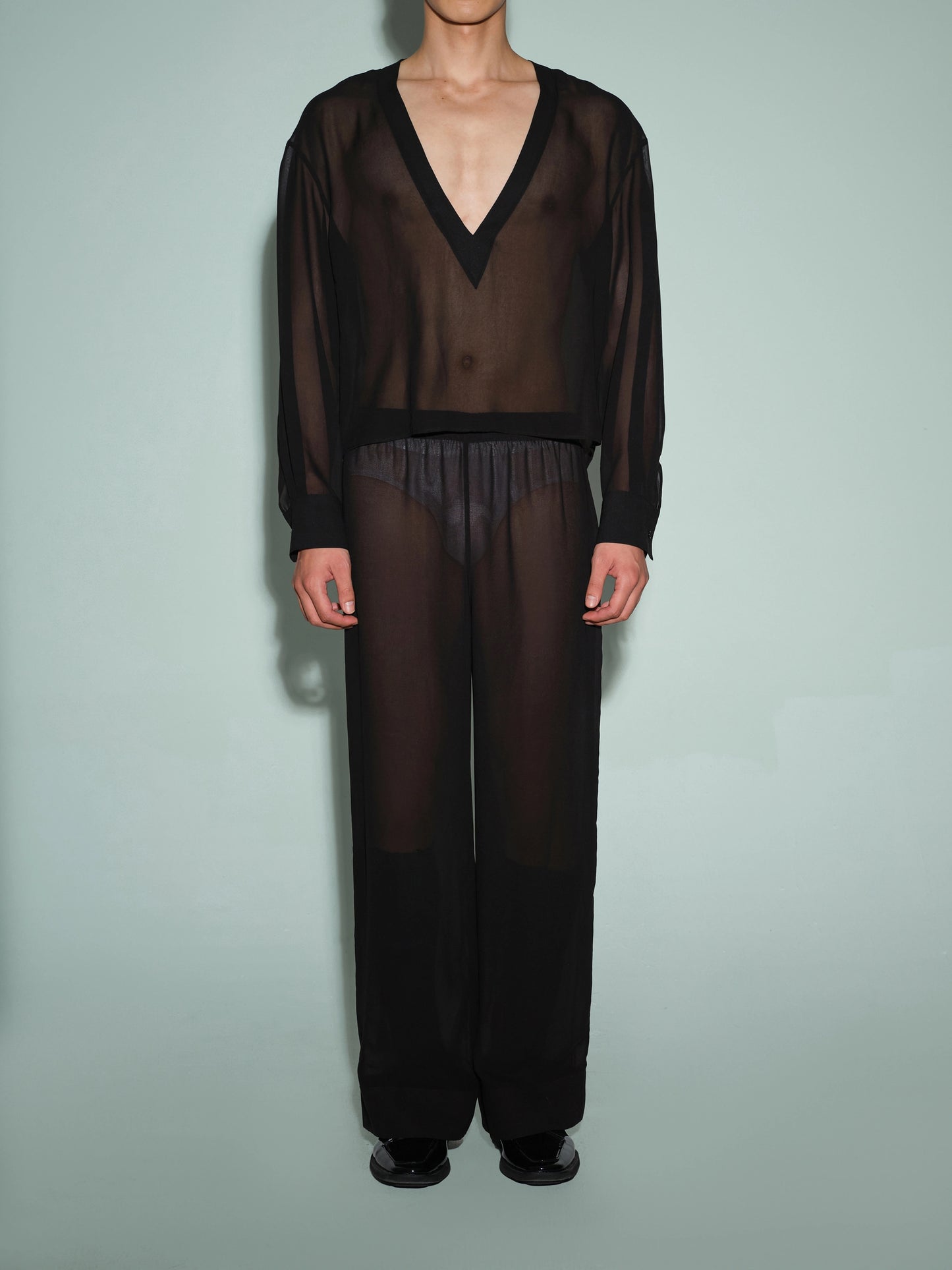 Deep V Neck Sheer Mesh Top & Sheer-Inspired Trouser