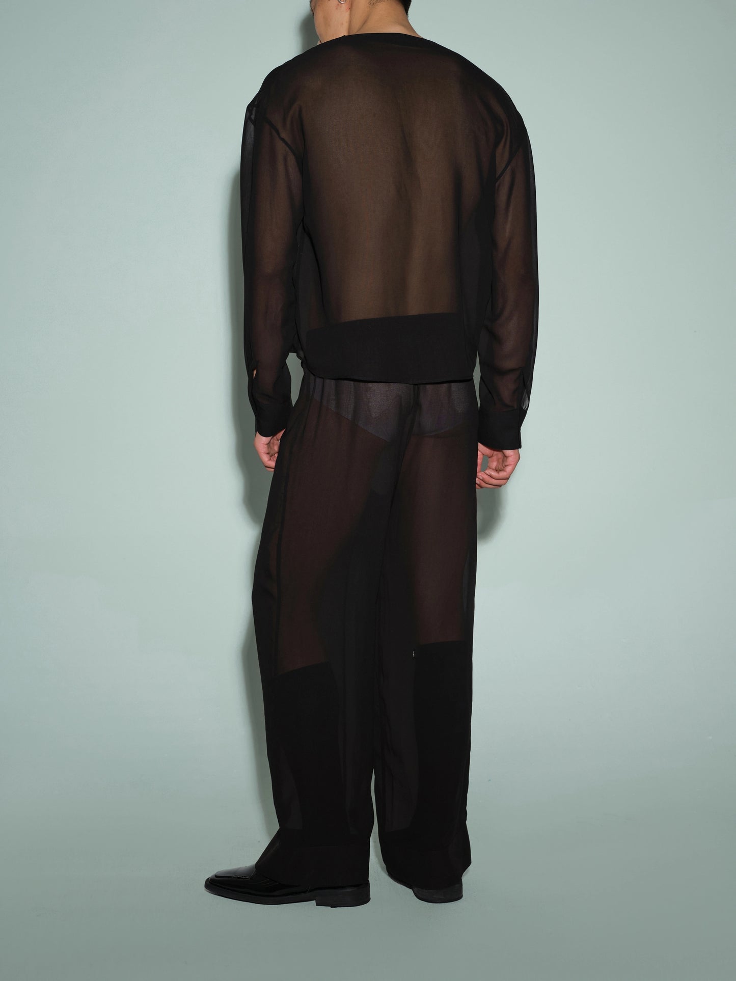 Deep V Neck Sheer Mesh Top & Sheer-Inspired Trouser