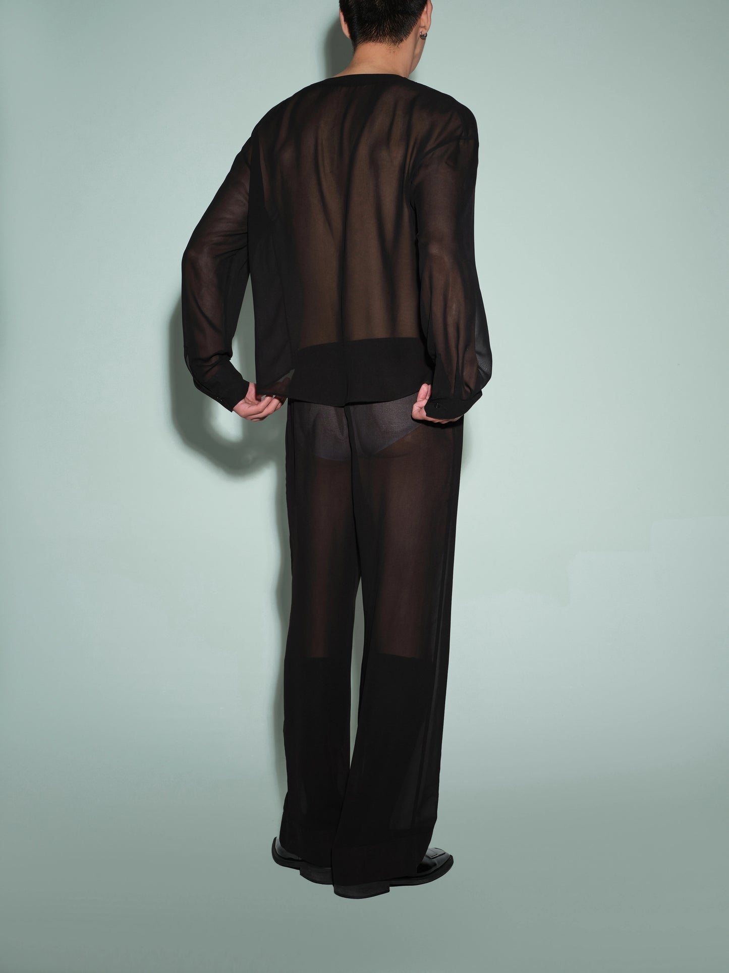 Deep V Neck Sheer Mesh Top & Sheer-Inspired Trouser
