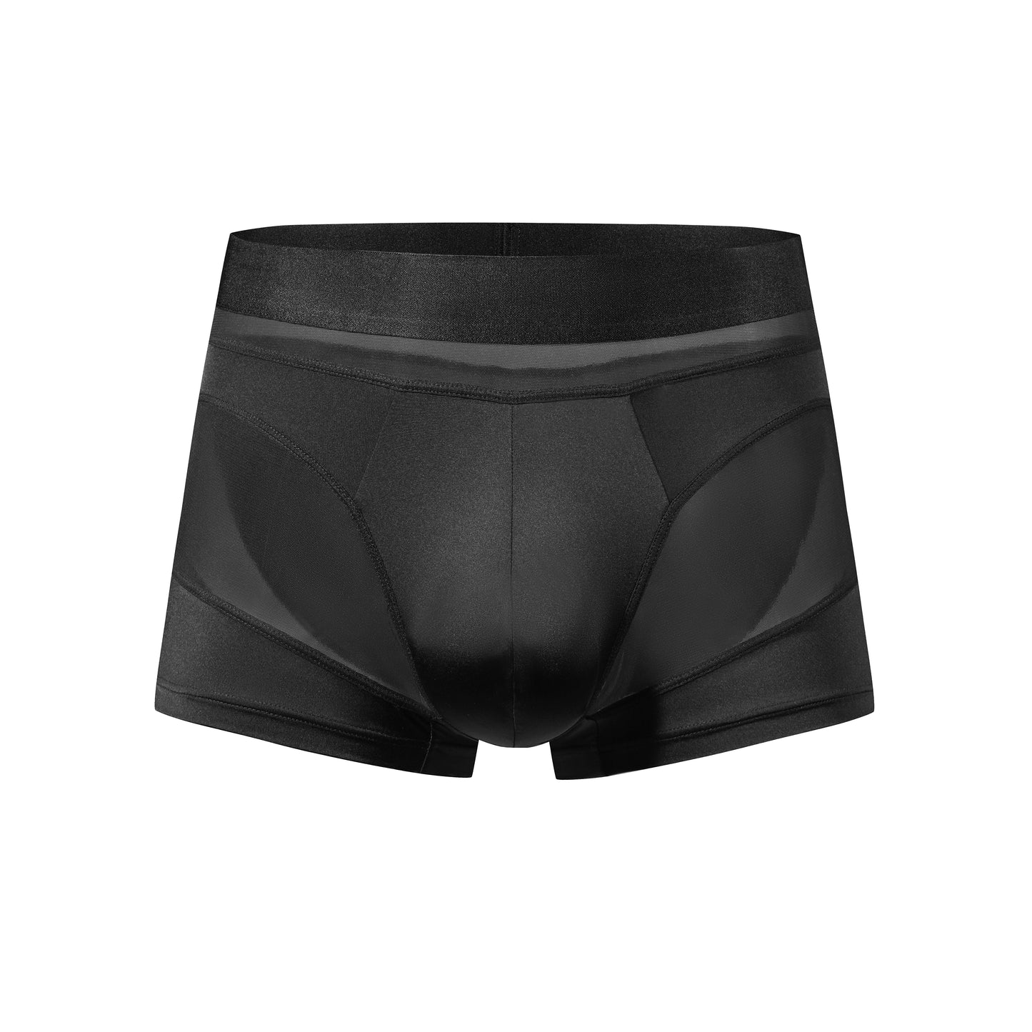 Sheer Mesh Structural Panel Trunks (Black)-2 Pack
