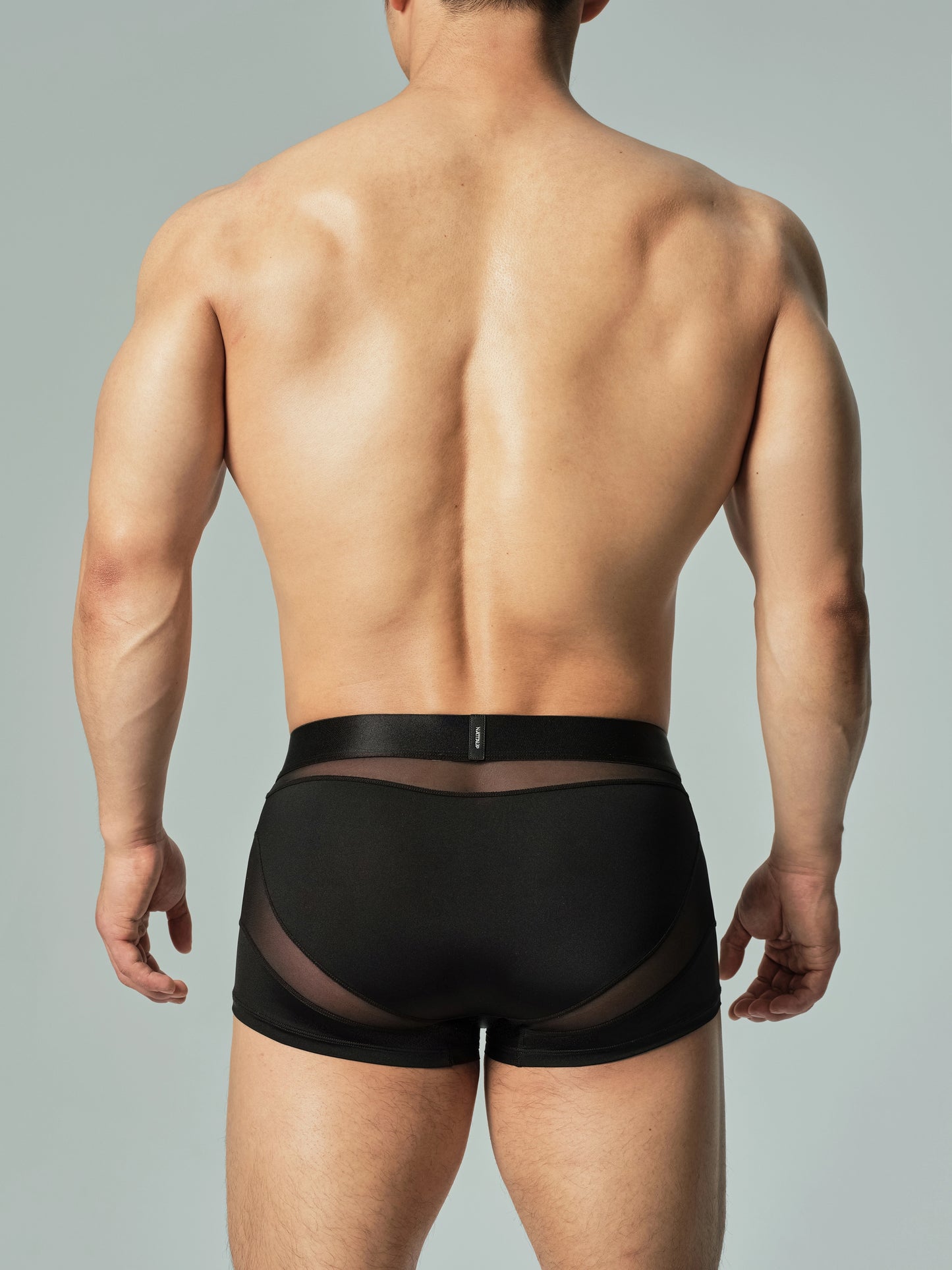 Sheer Mesh Structural Panel Trunks (Black)-2 Pack