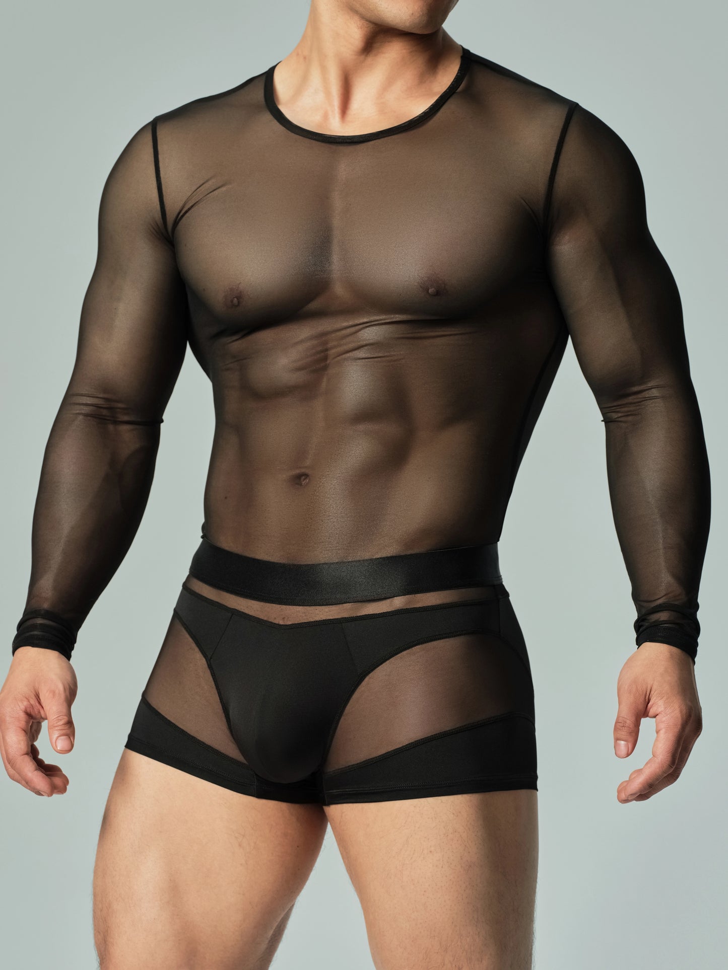 Sheer Mesh Structural Panel Trunk