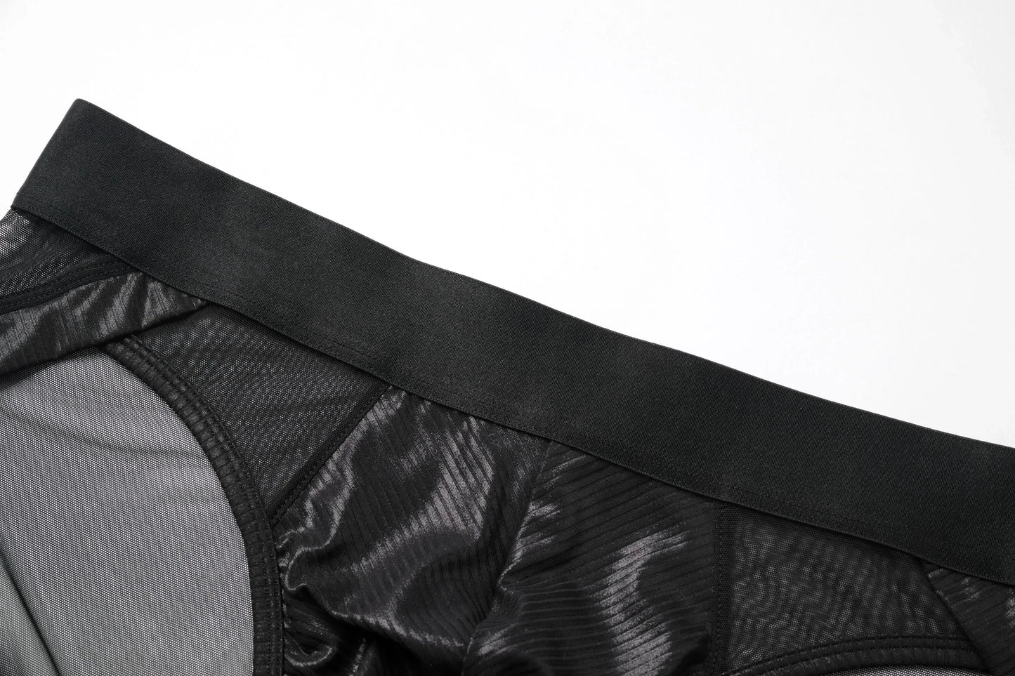 Sparkling-Ribbed Mesh Brief