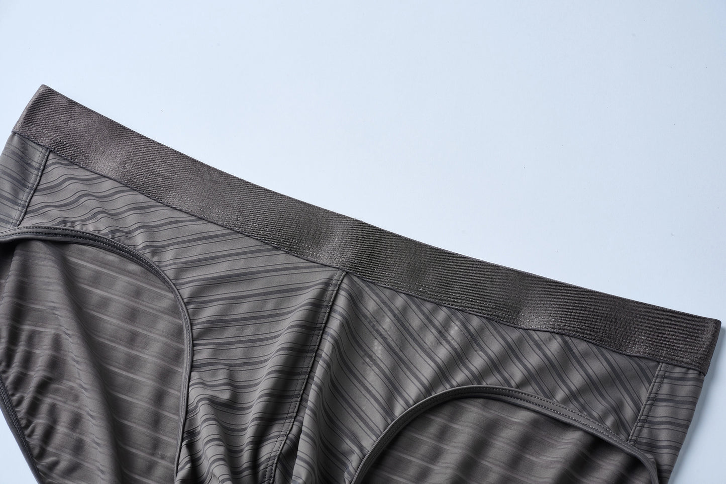 Striped Panel Brief