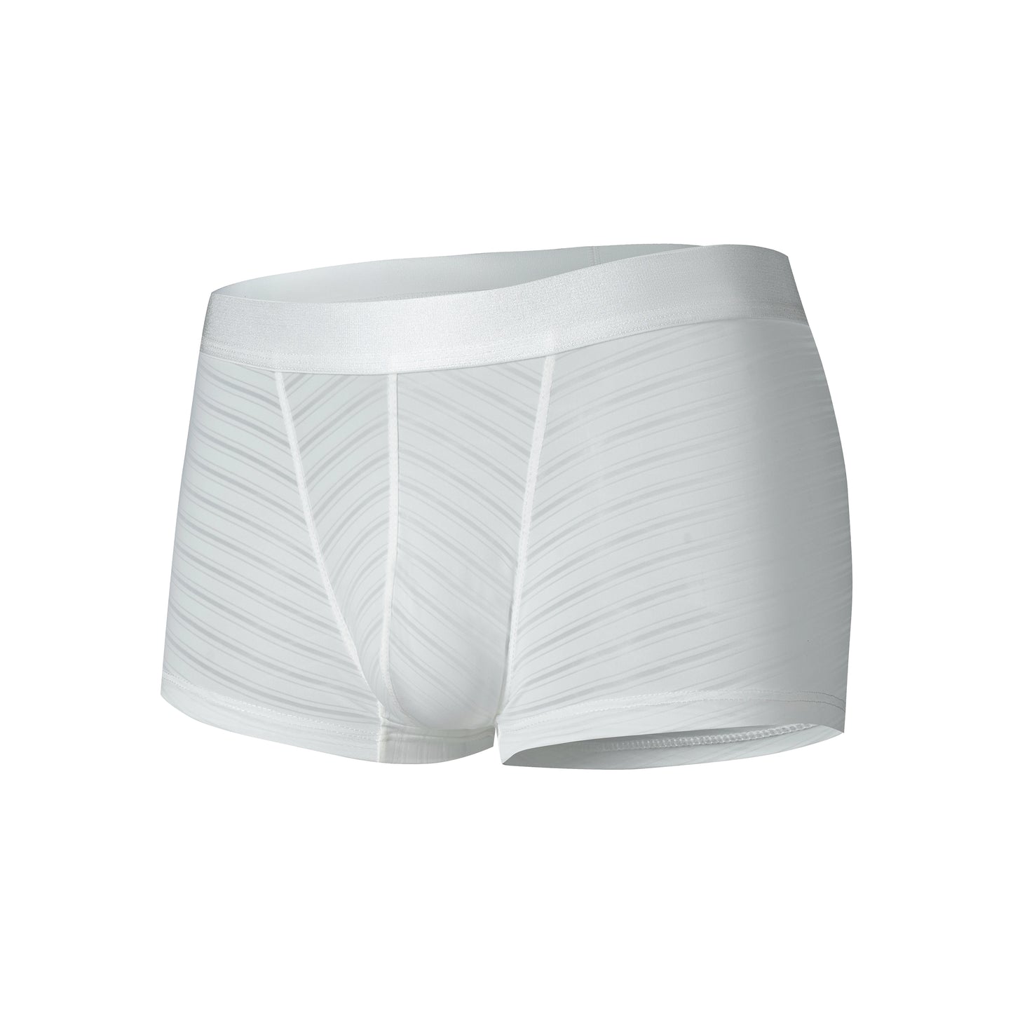 Striped Panel Trunk