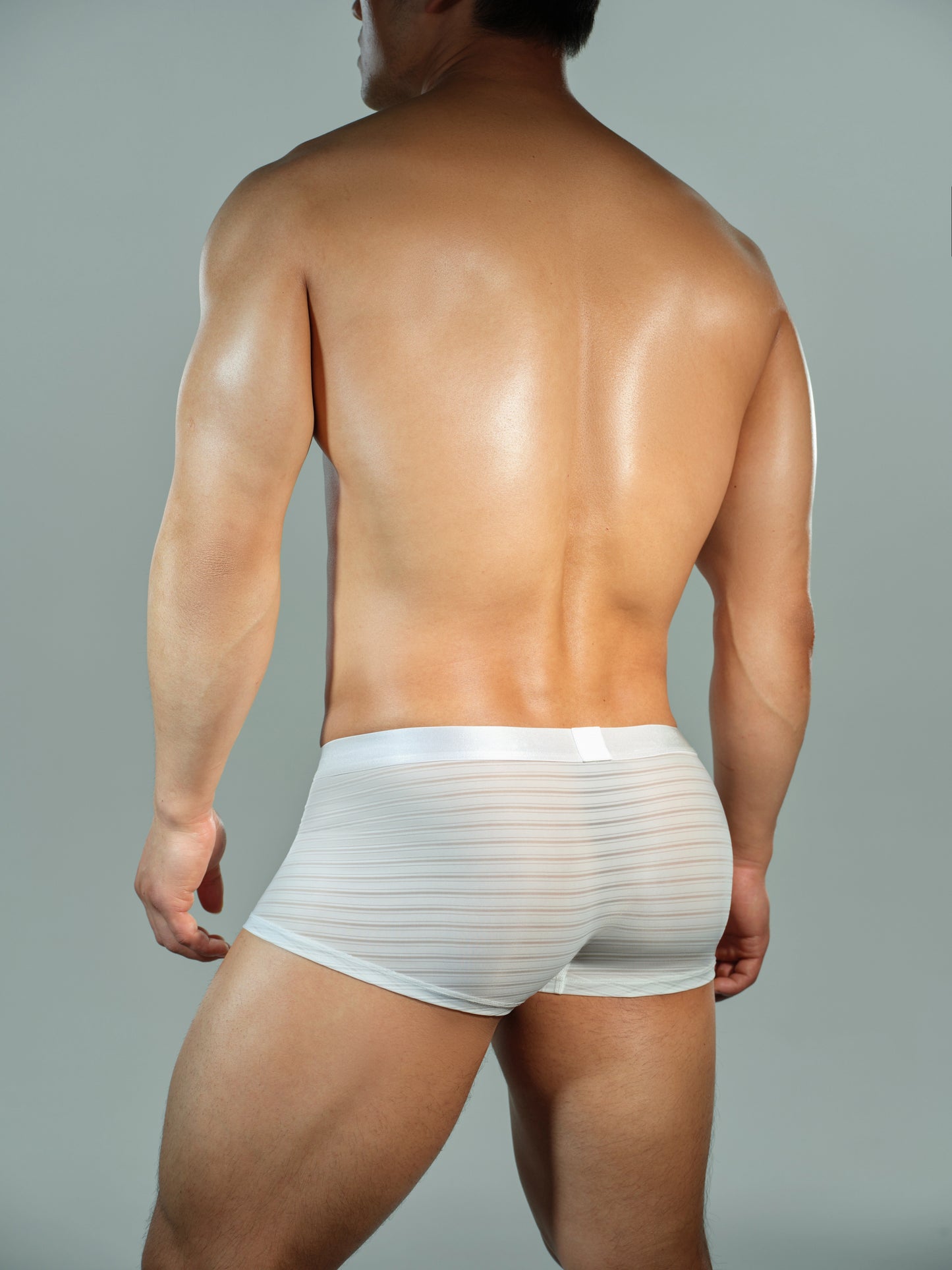 Striped Panel Trunk