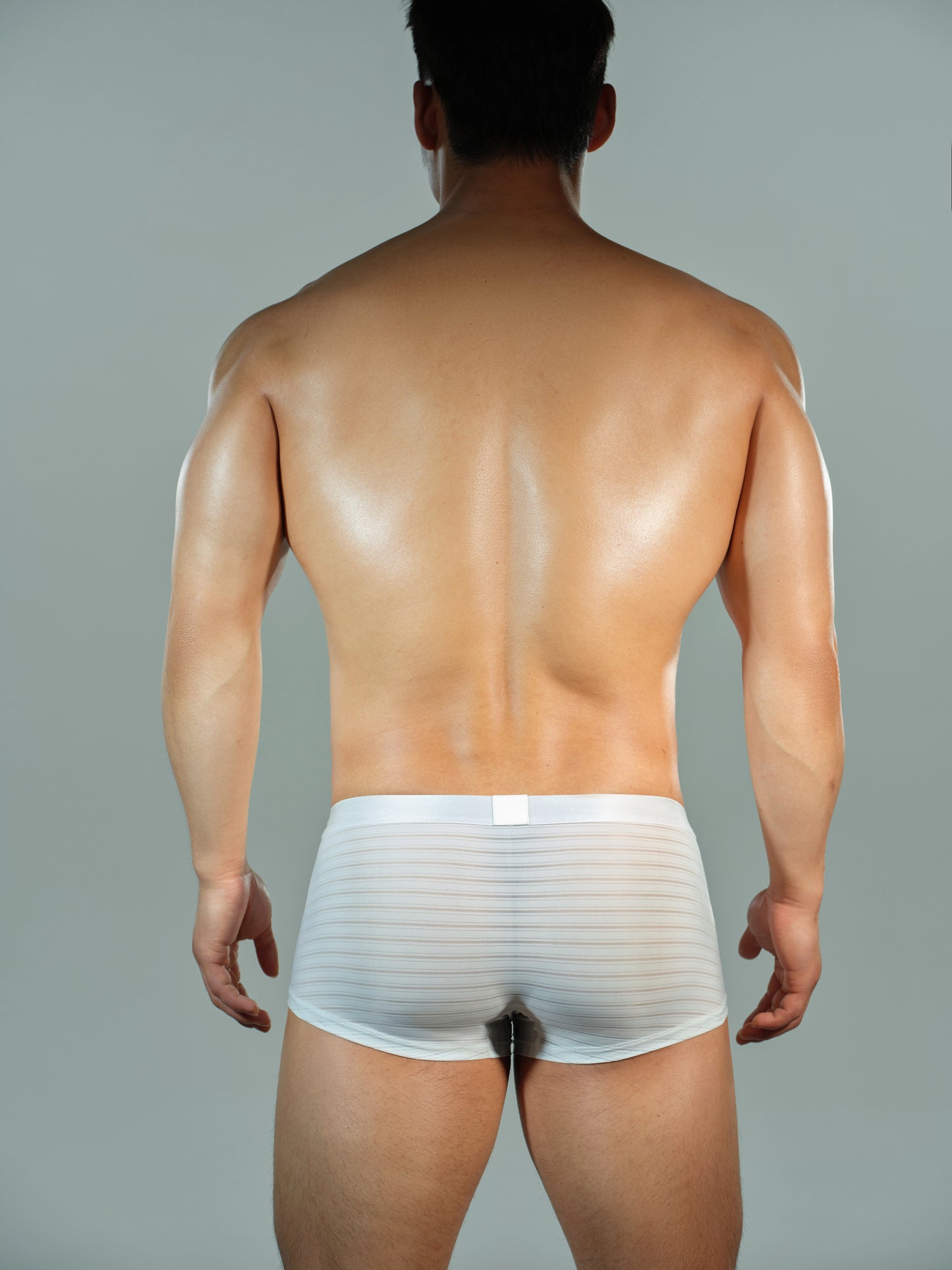 Striped Panel Trunk