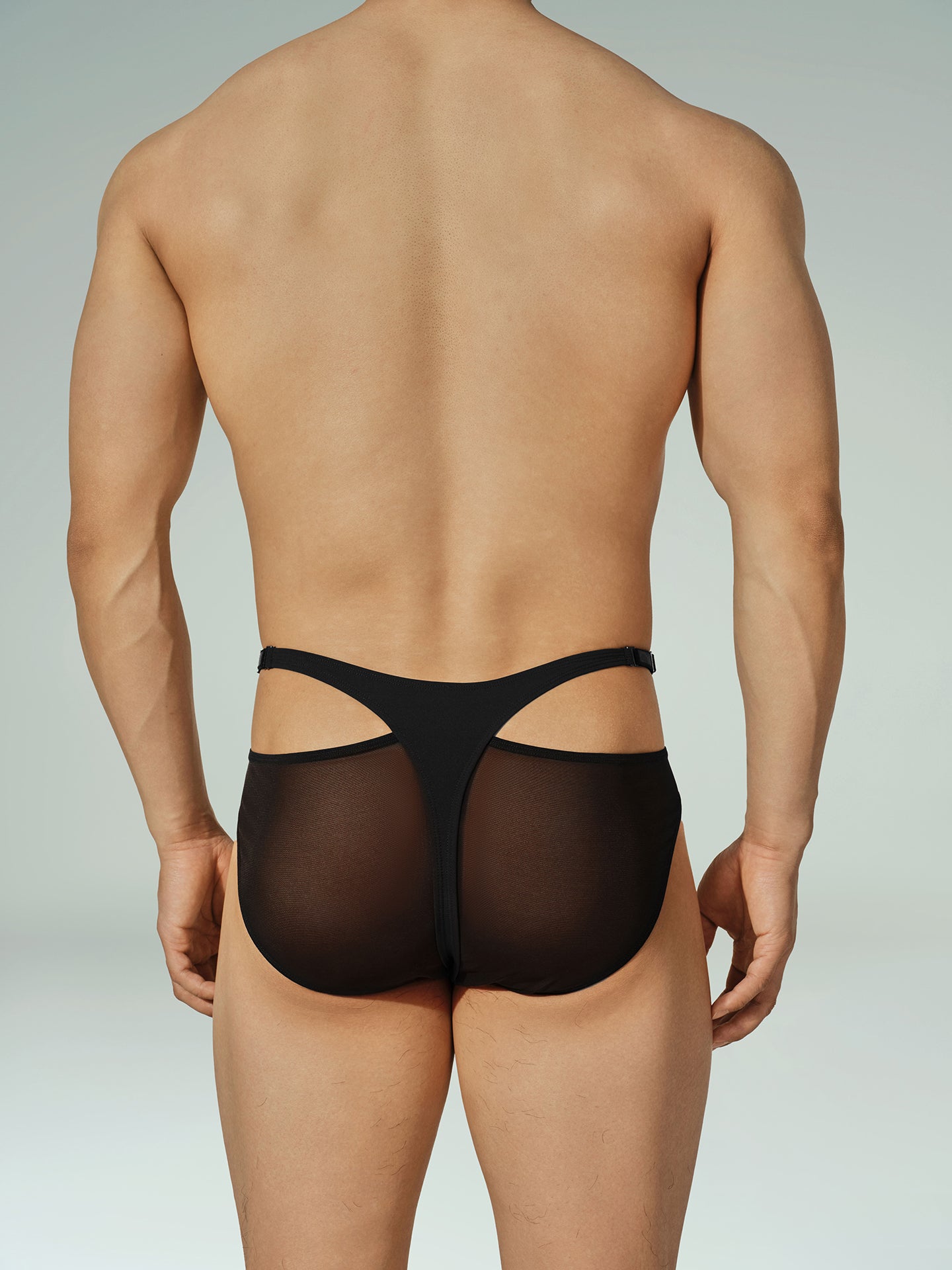 Sustain Series - Snap Brief