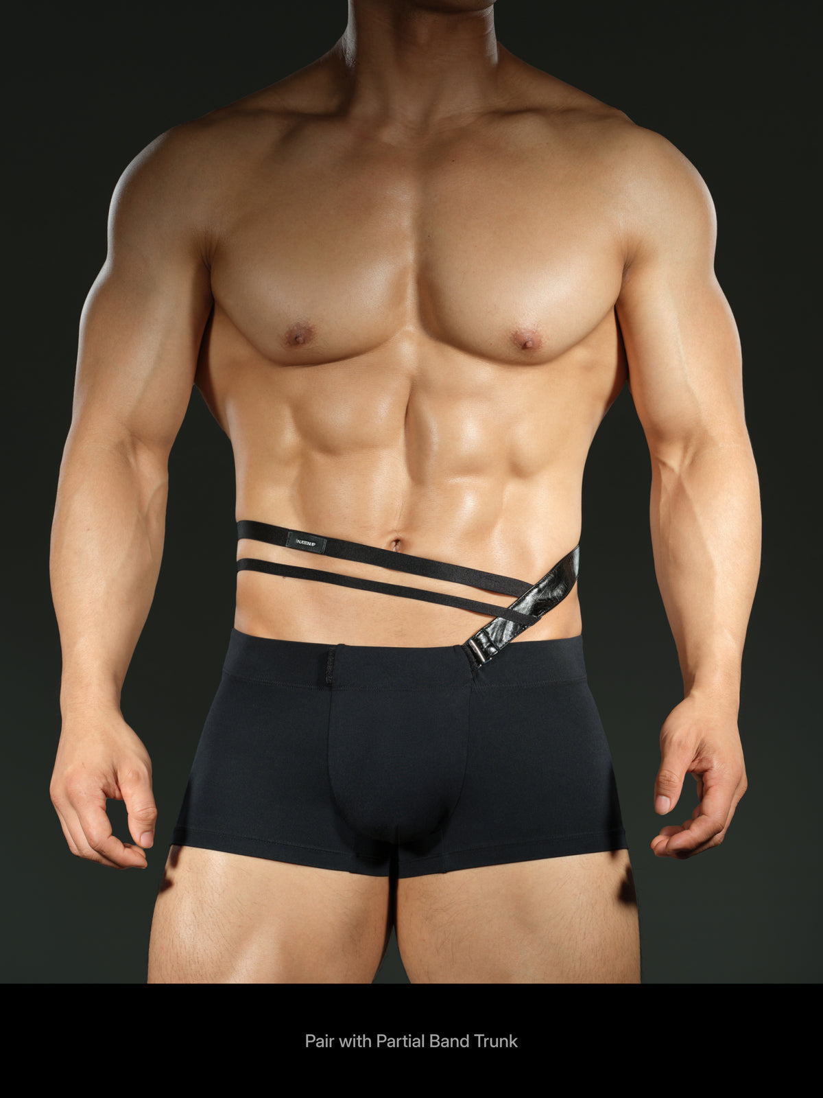 V-Shaped Asymmetrical Half-Waist Harness Accessory and Partial Band Underwear Set — image 12
