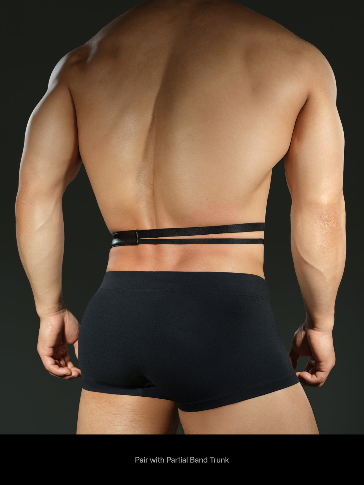 V-Shaped Asymmetrical Half-Waist Harness Accessory and Partial Band Underwear Set — image 13