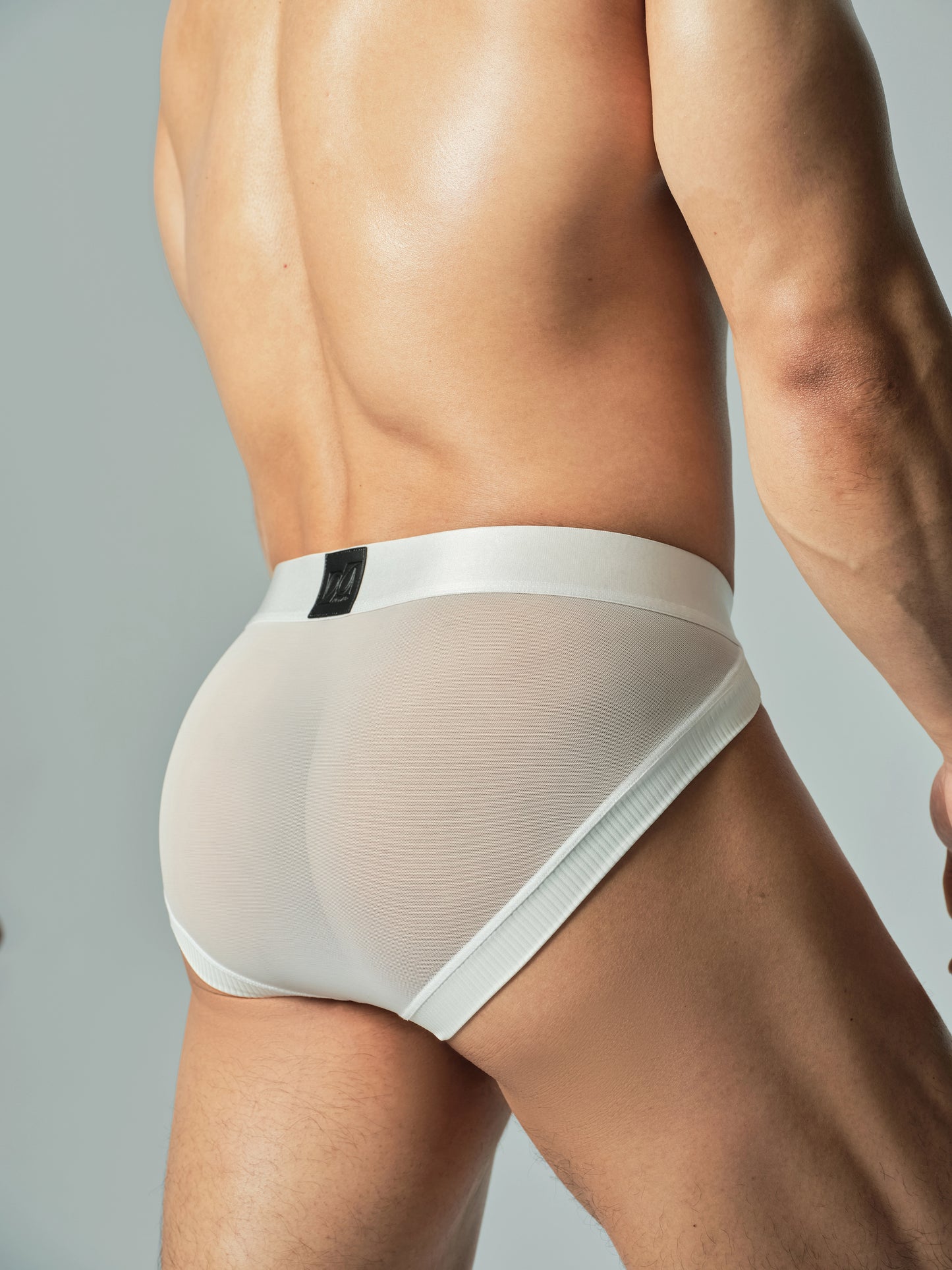 Sparkling Ribbed Mesh Panel Brief White Black