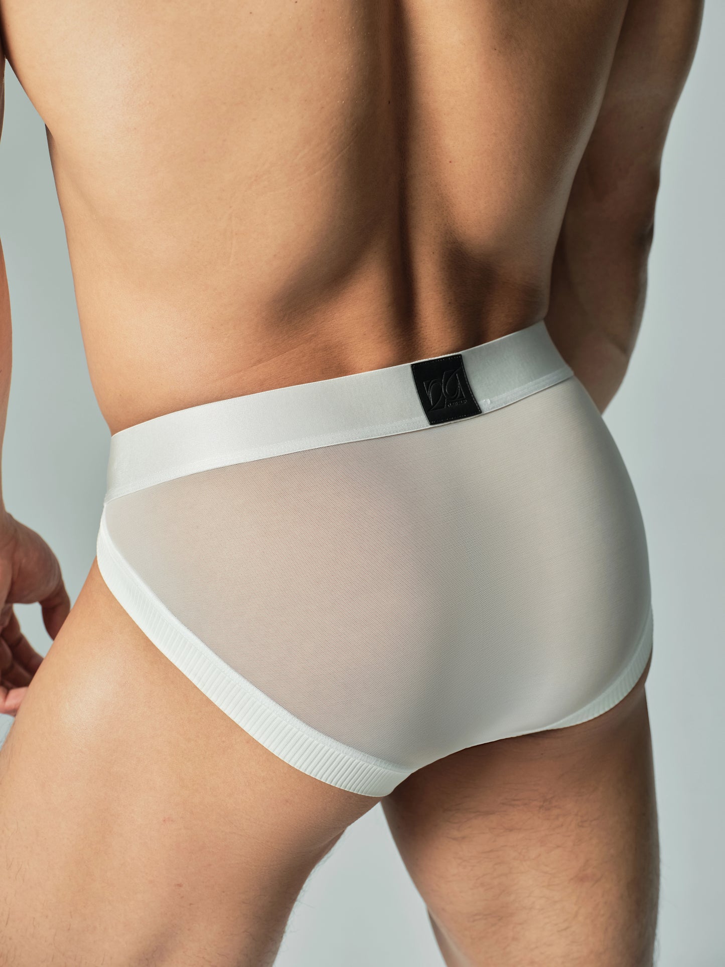 Sparkling Ribbed Mesh Panel Brief White Black